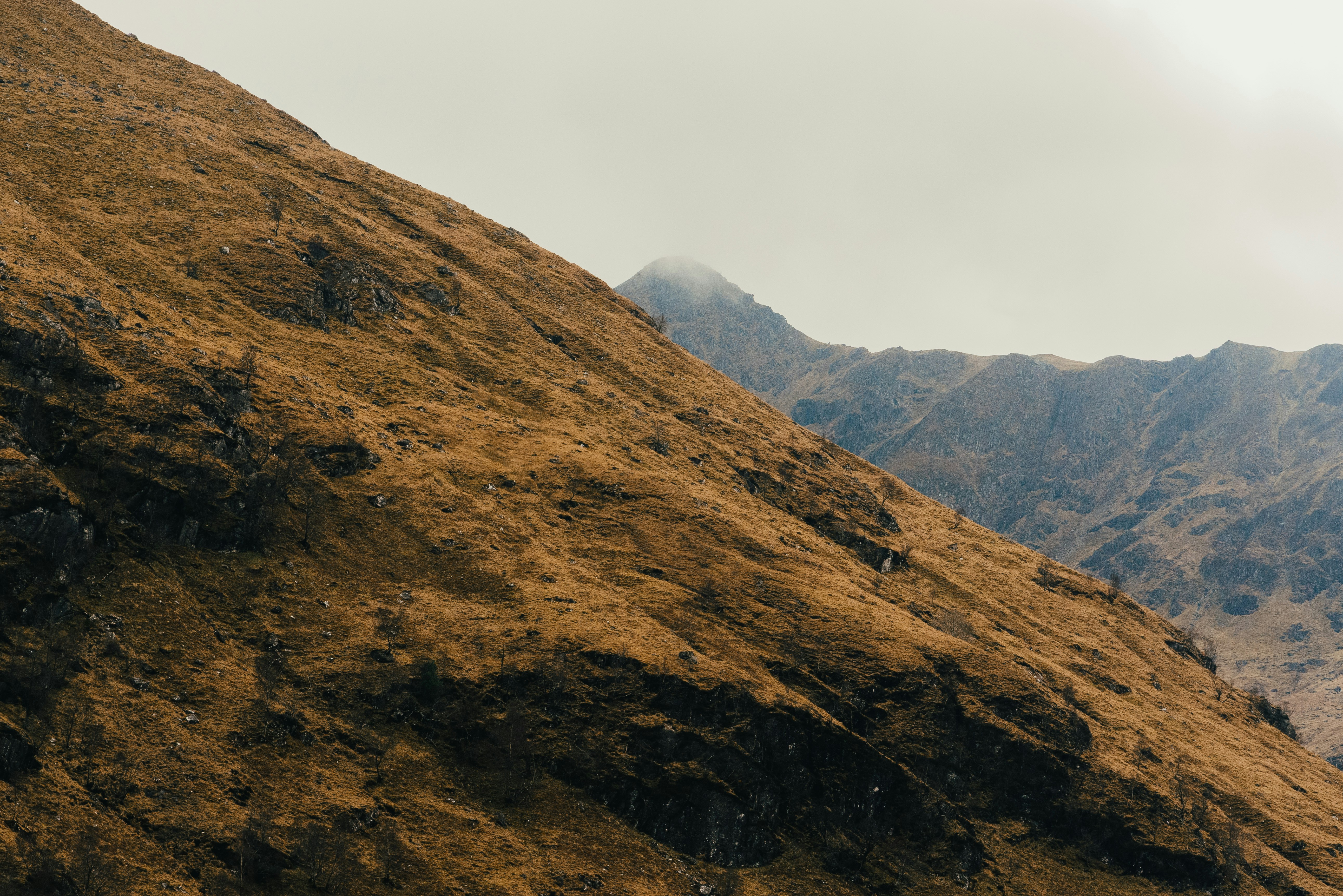 Photo by raymondokoro