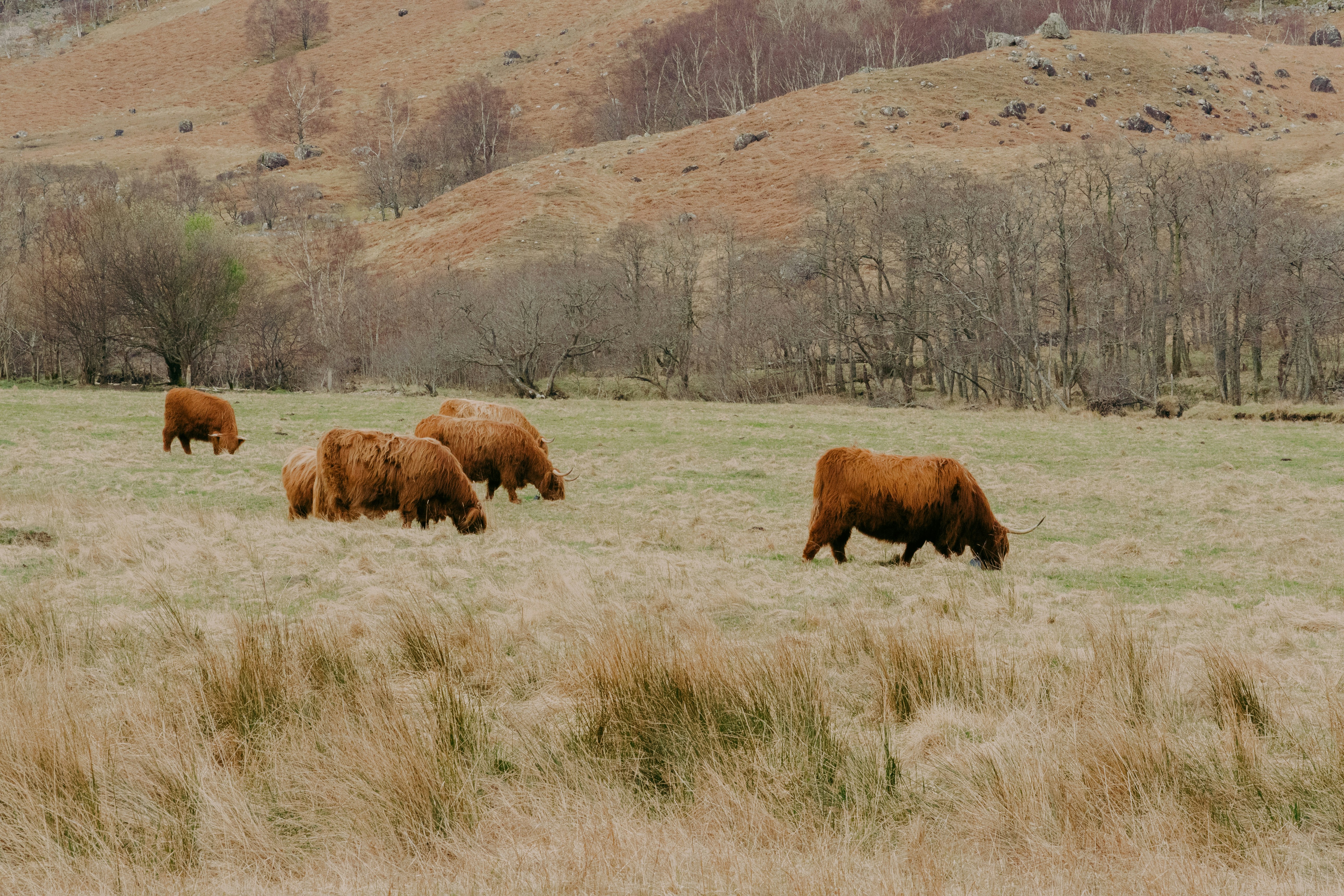 Photo by raymondokoro