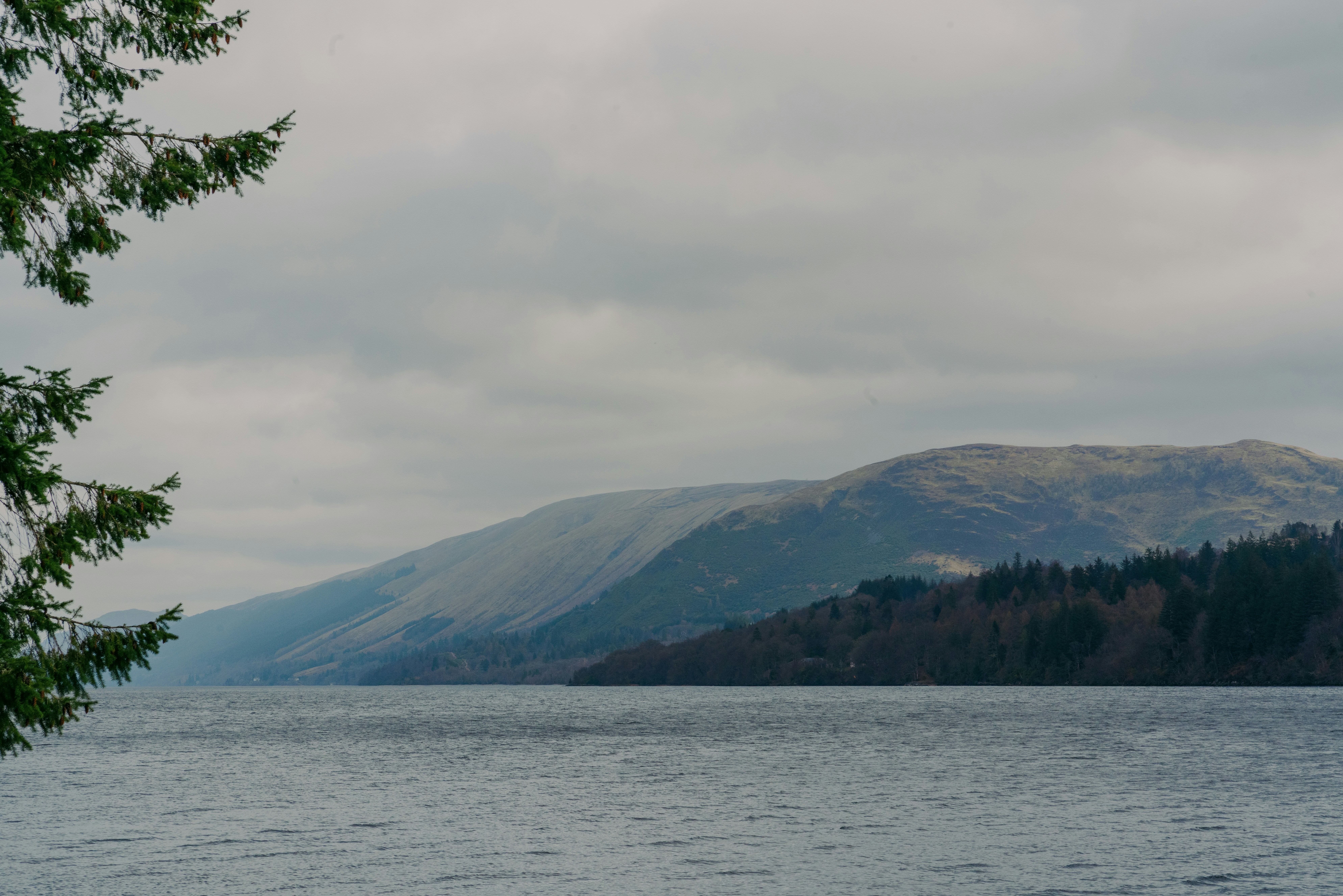 Photo by raymondokoro