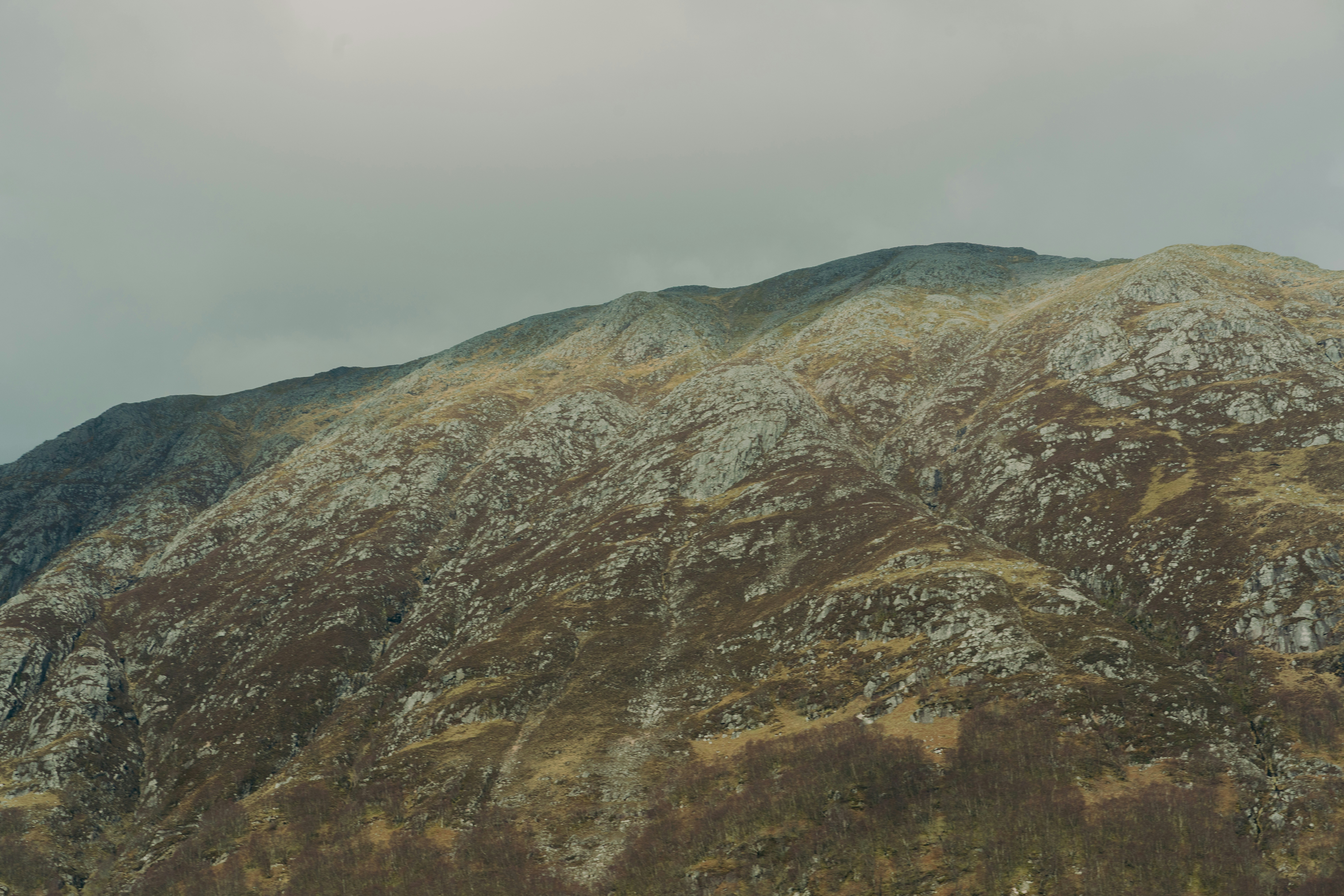 Photo by raymondokoro