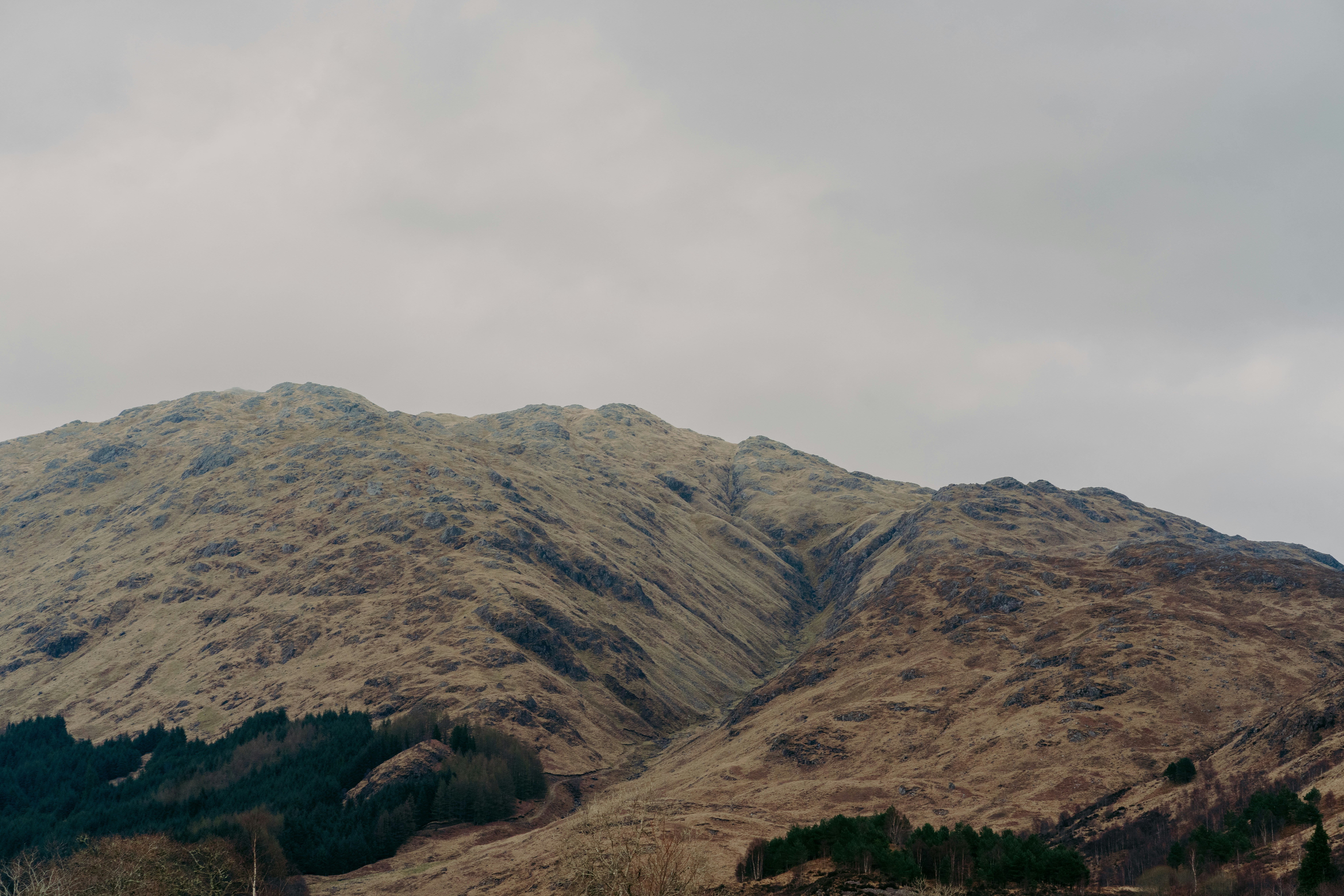 Photo by raymondokoro