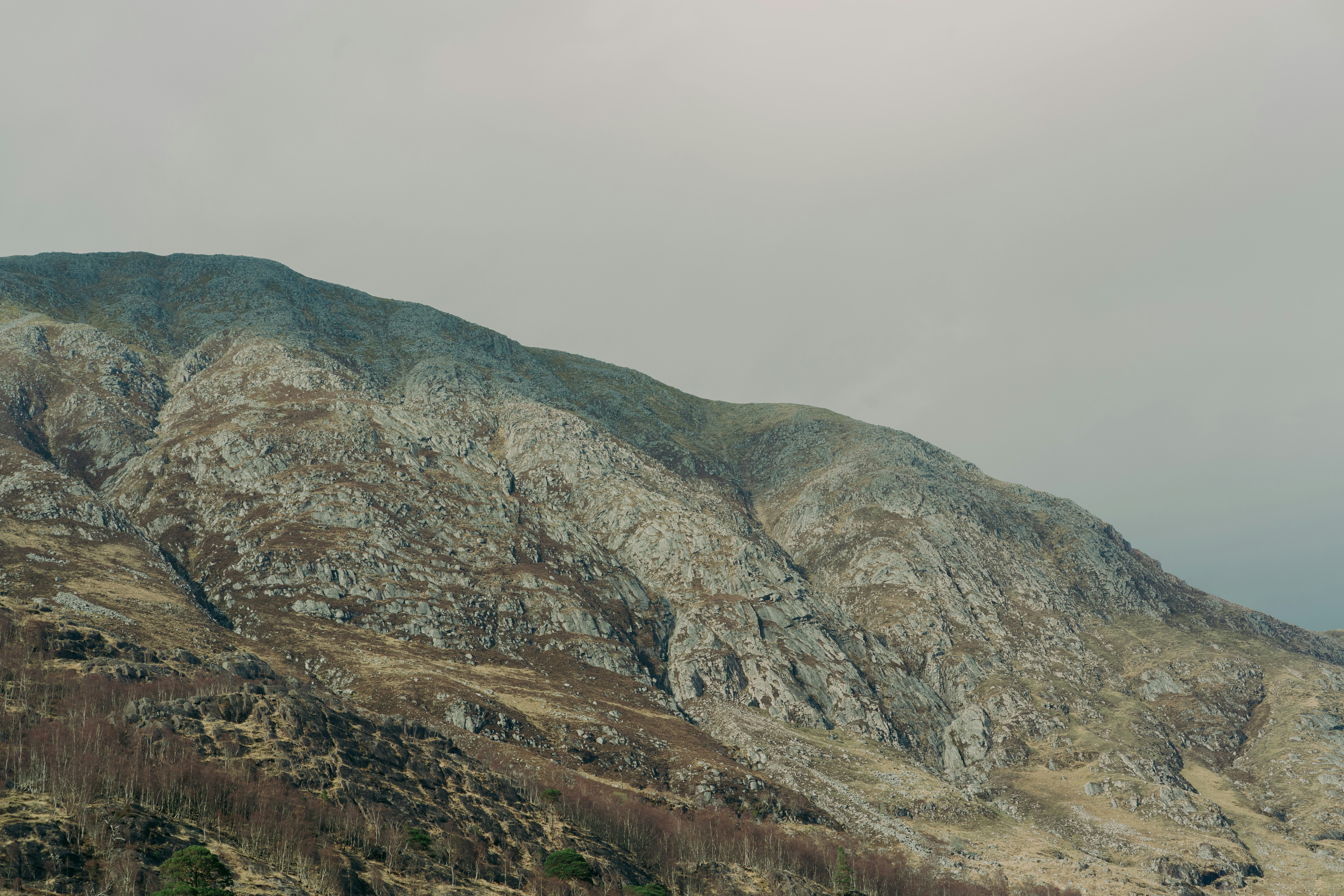 Photo by raymondokoro