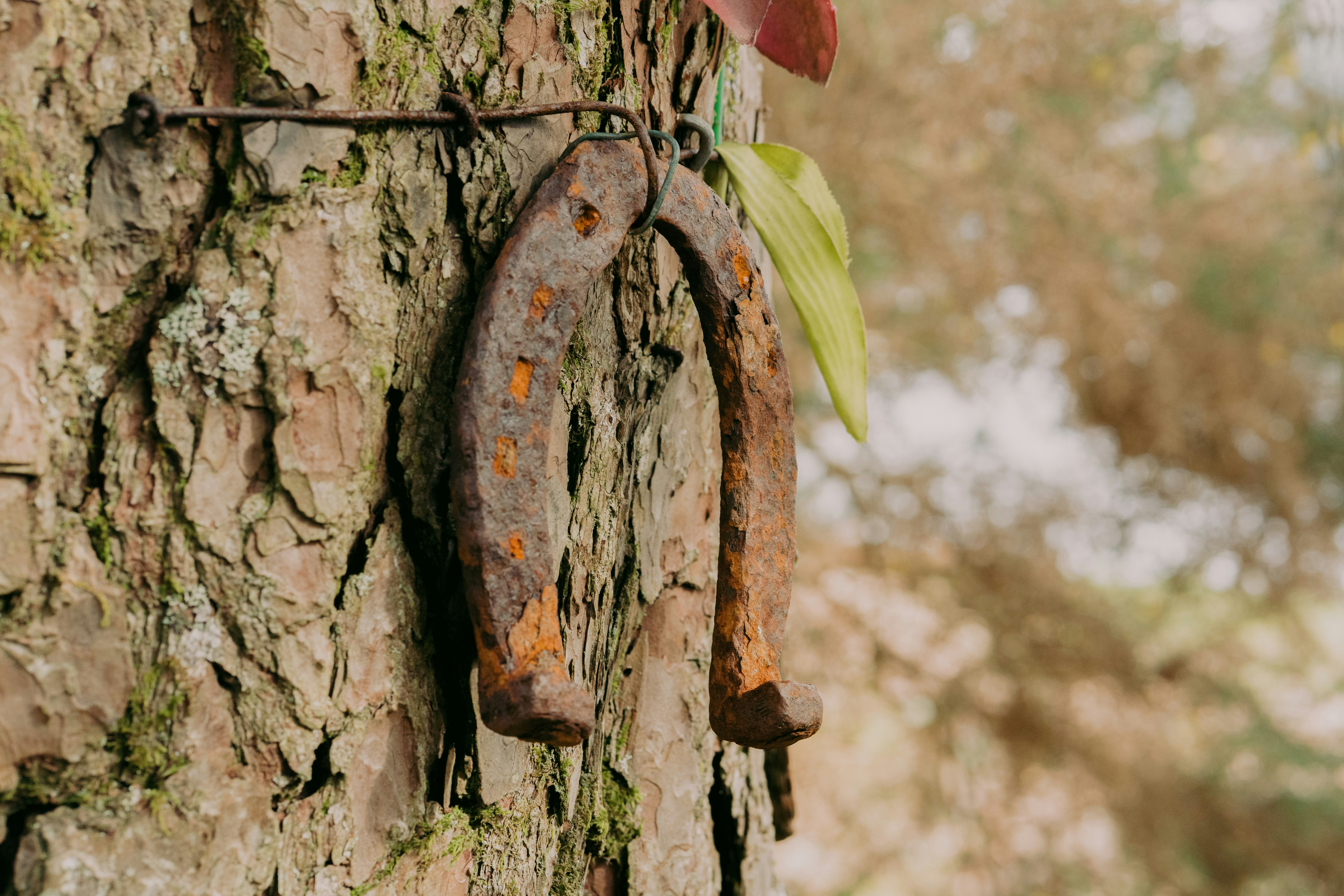 Photo by raymondokoro