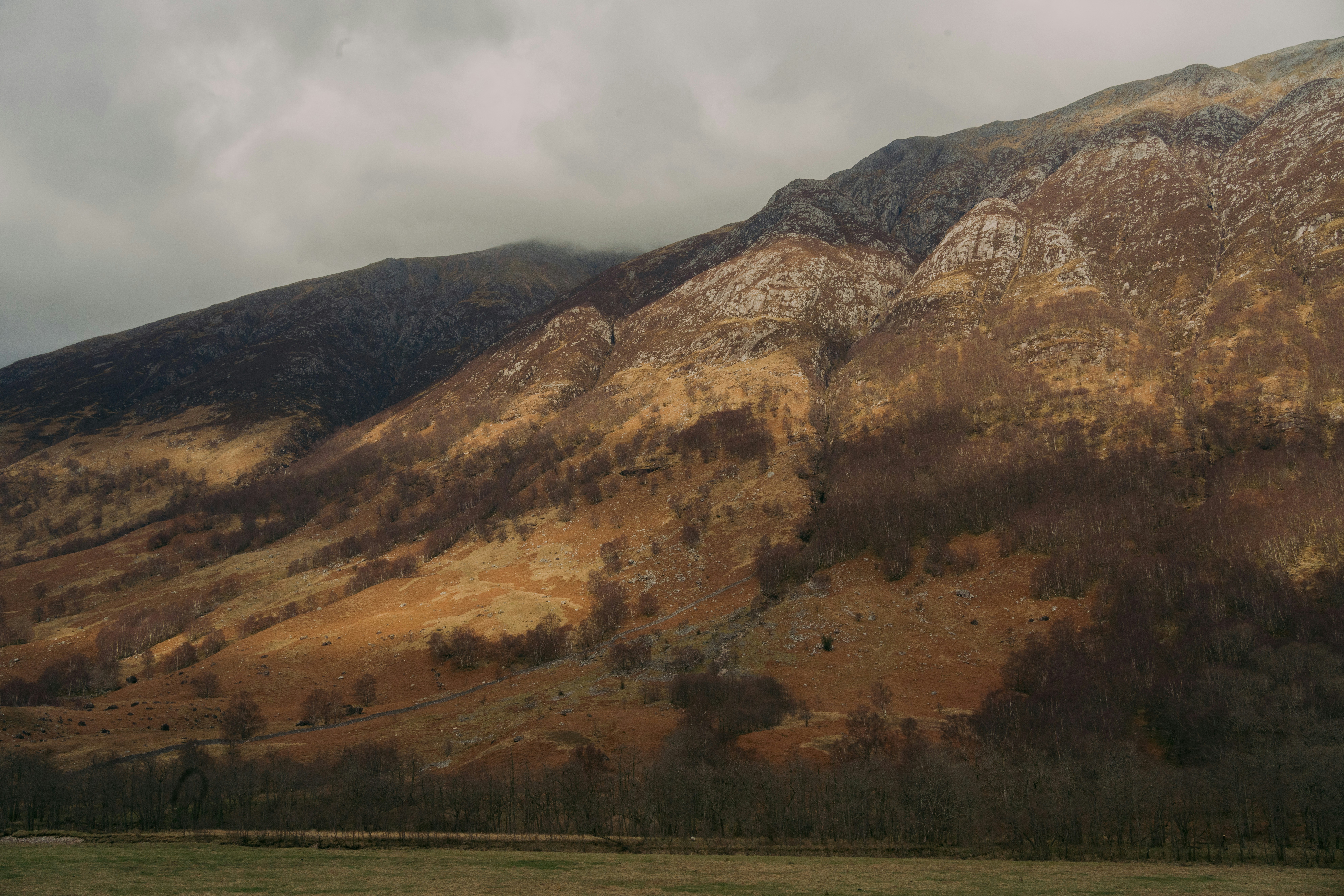 Photo by raymondokoro