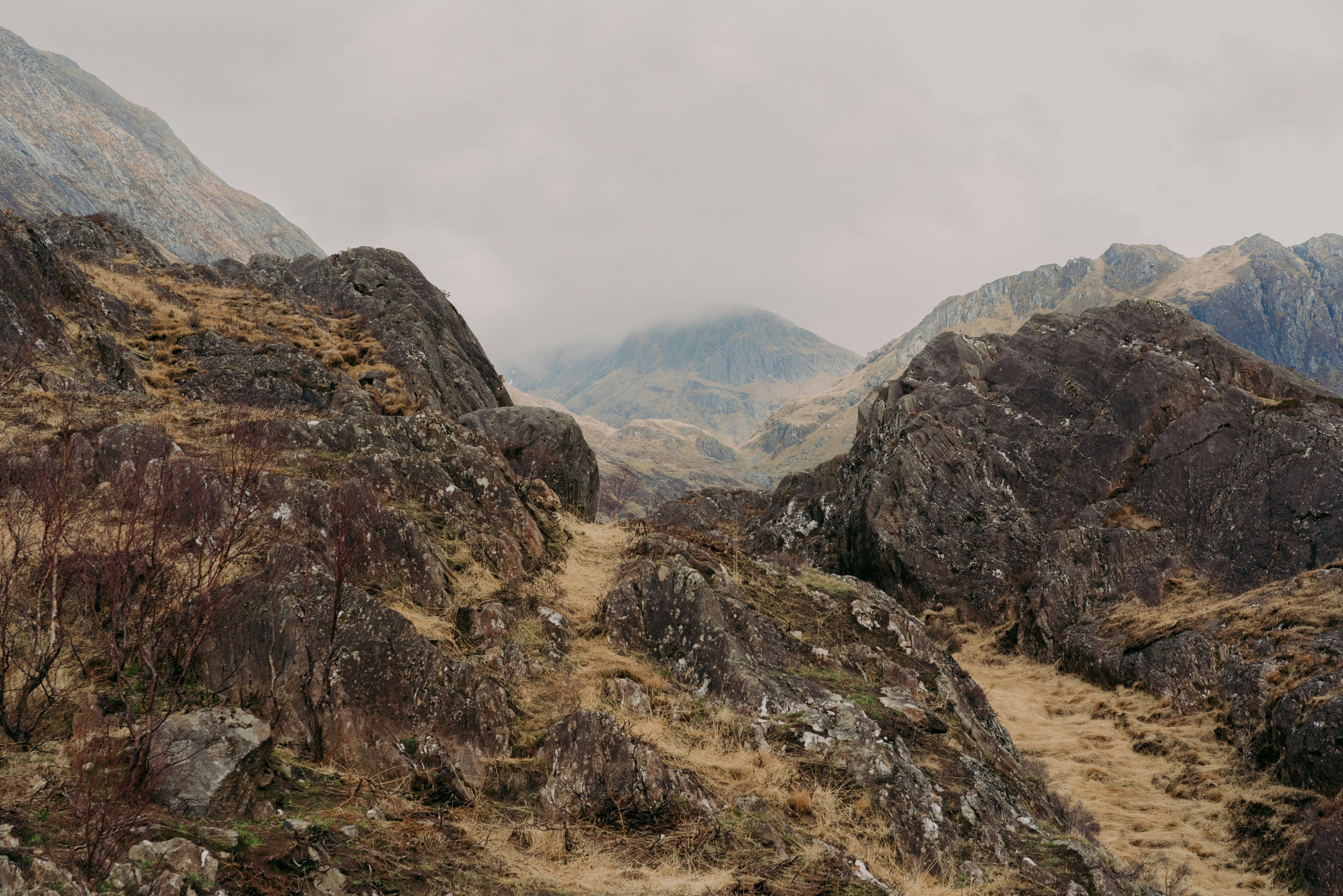 Photo by raymondokoro