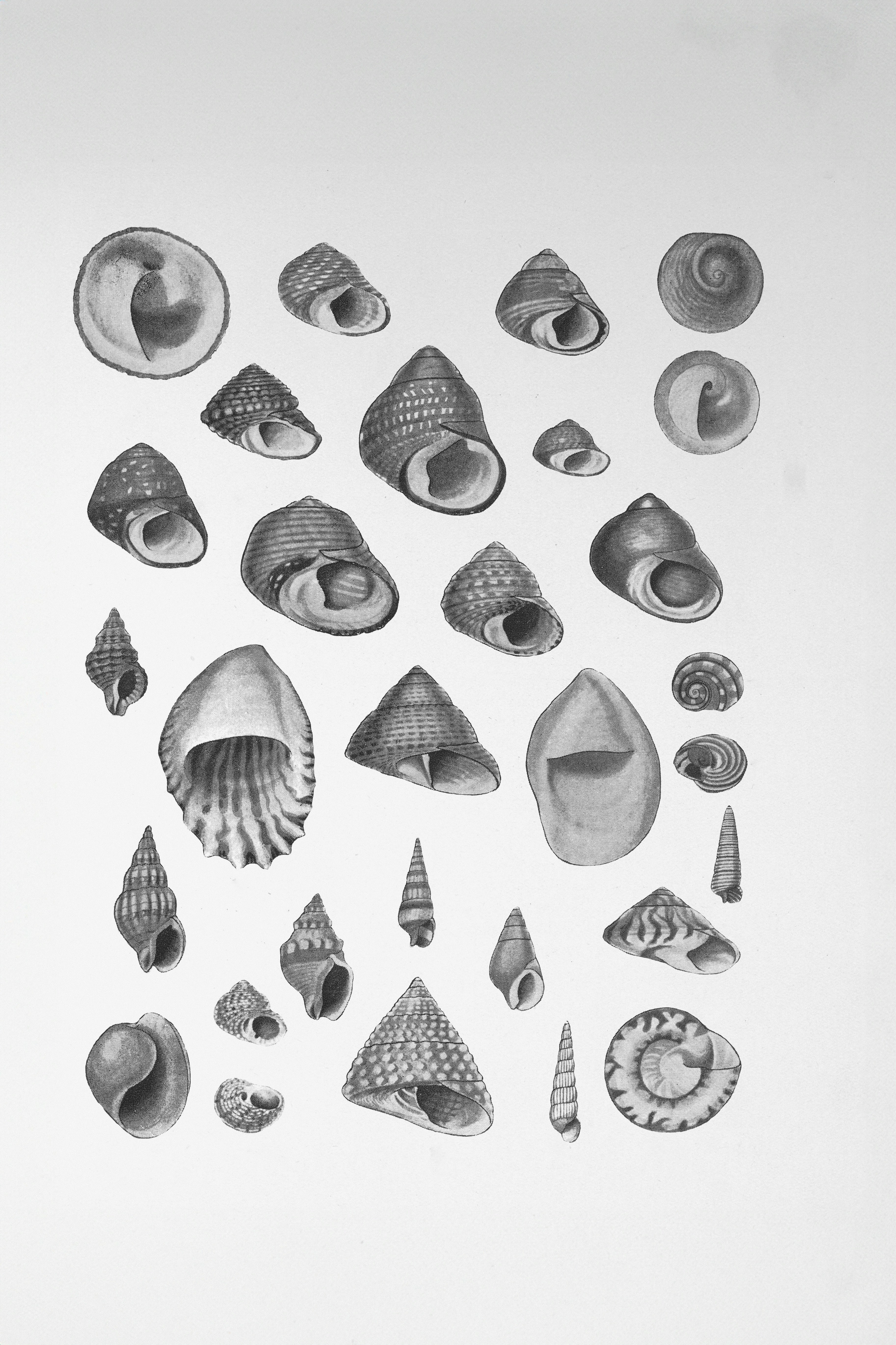 The Power of Multiple Dispatch in Python