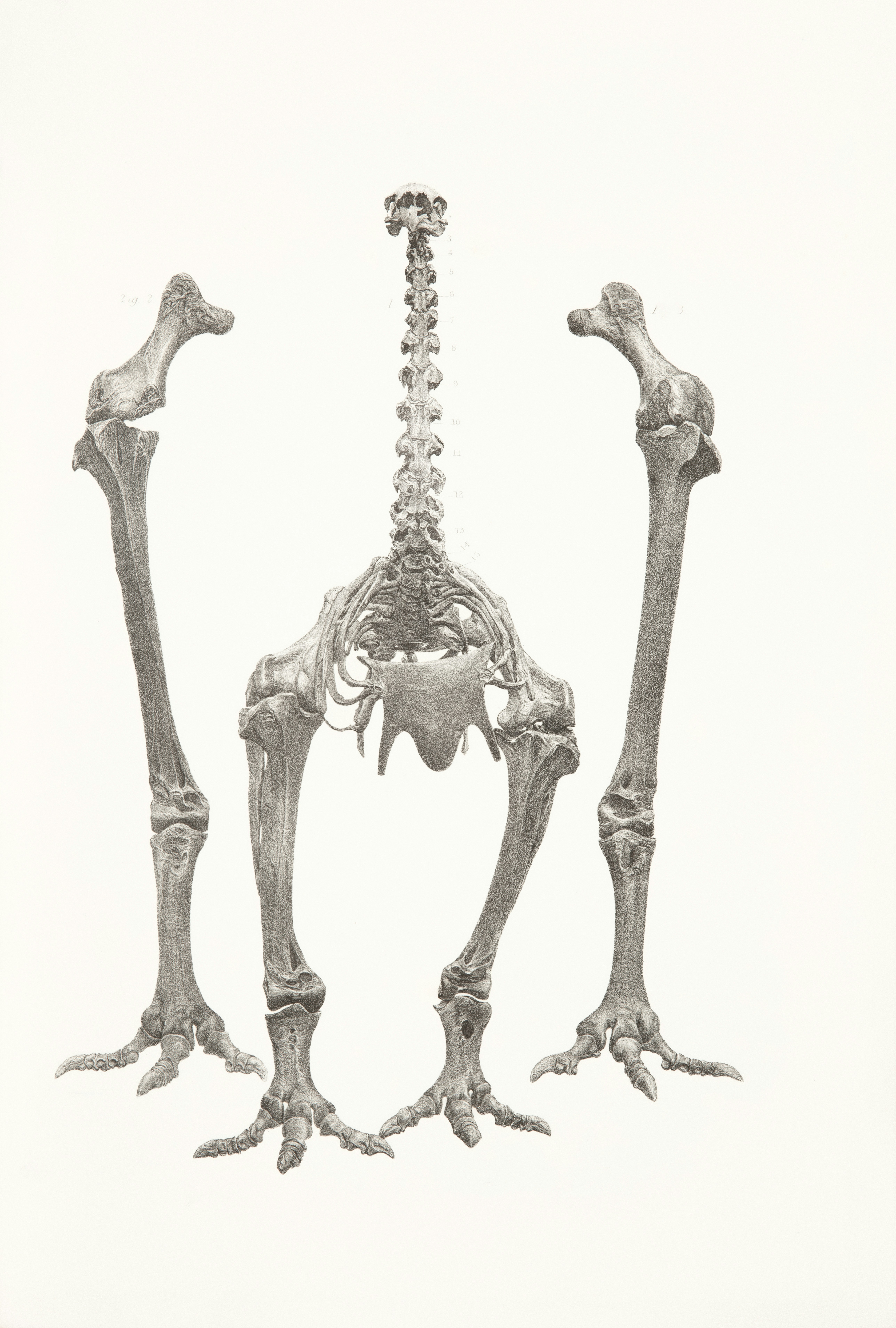 How AI Art Tools Are Democratizing Visual Literacy