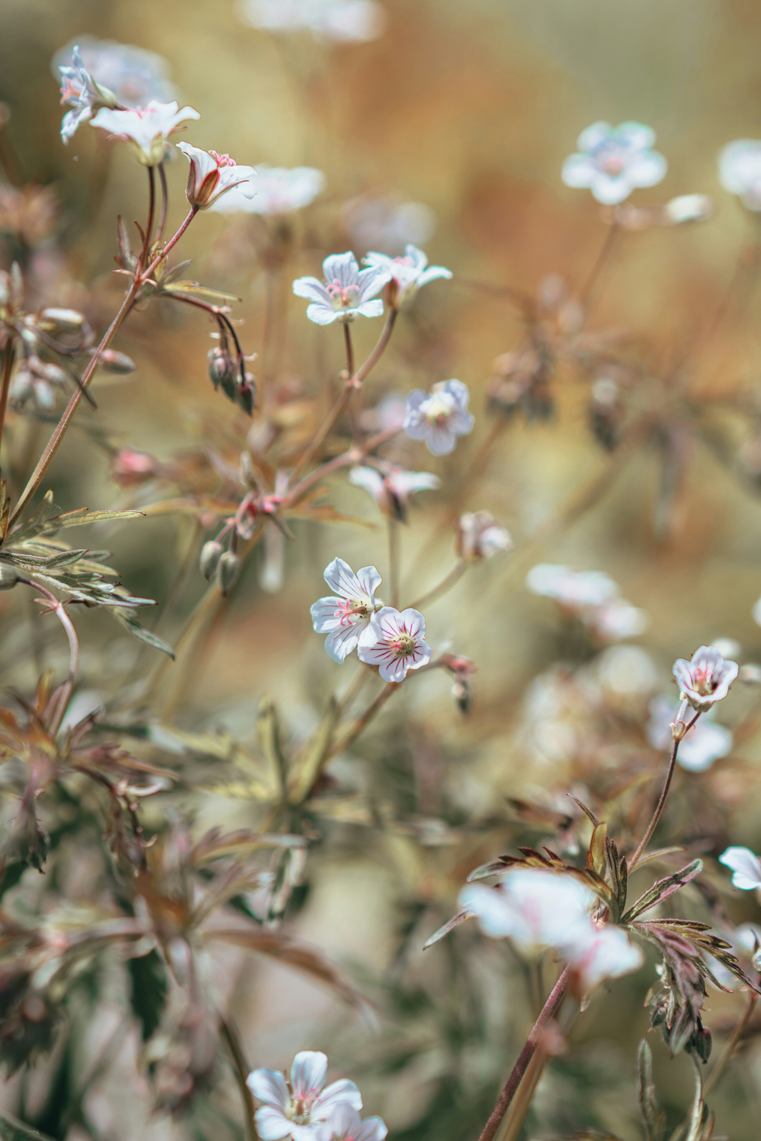 Photo by anamnesis33