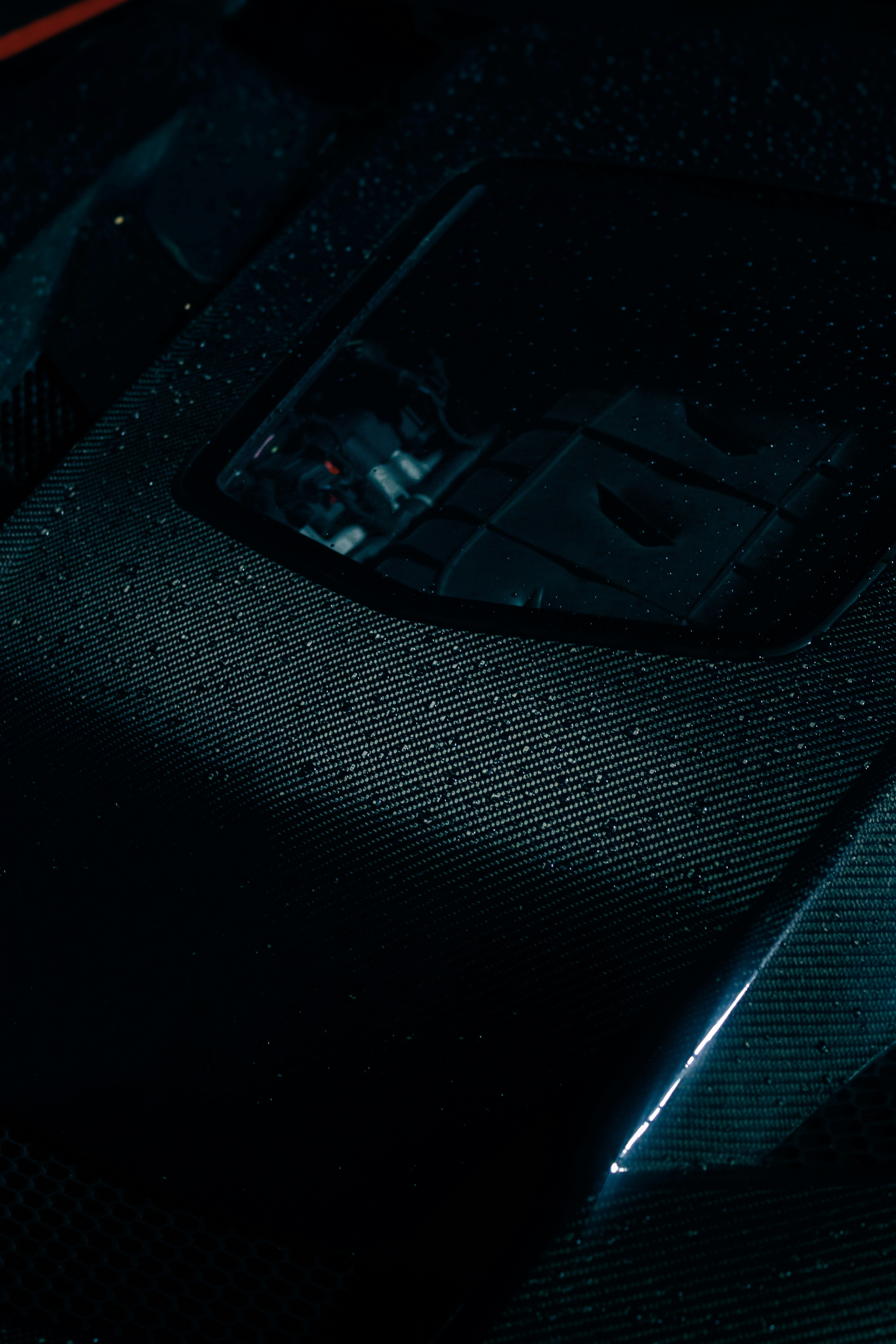 A close-up view of a wet car hood.