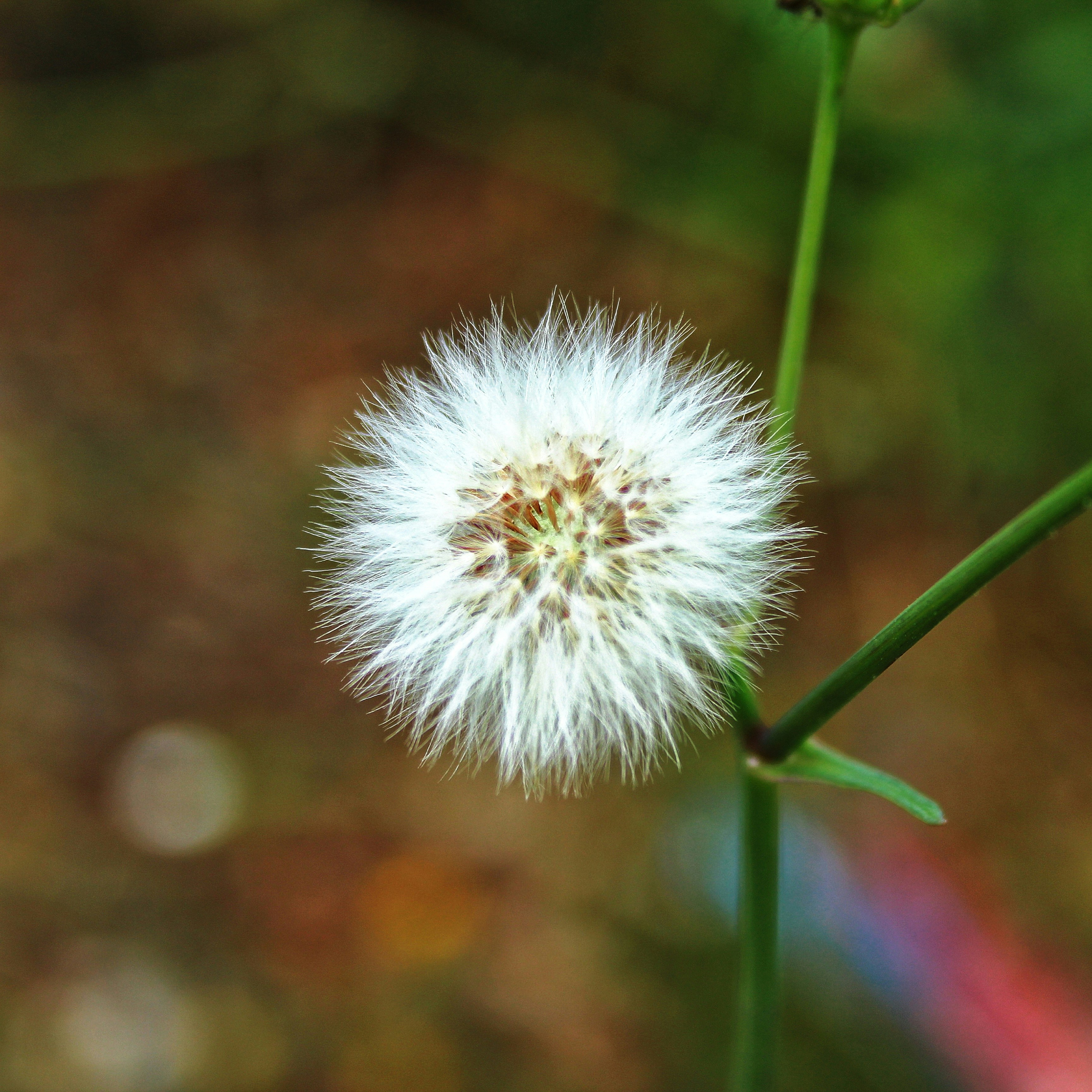 Photo by michael_kater