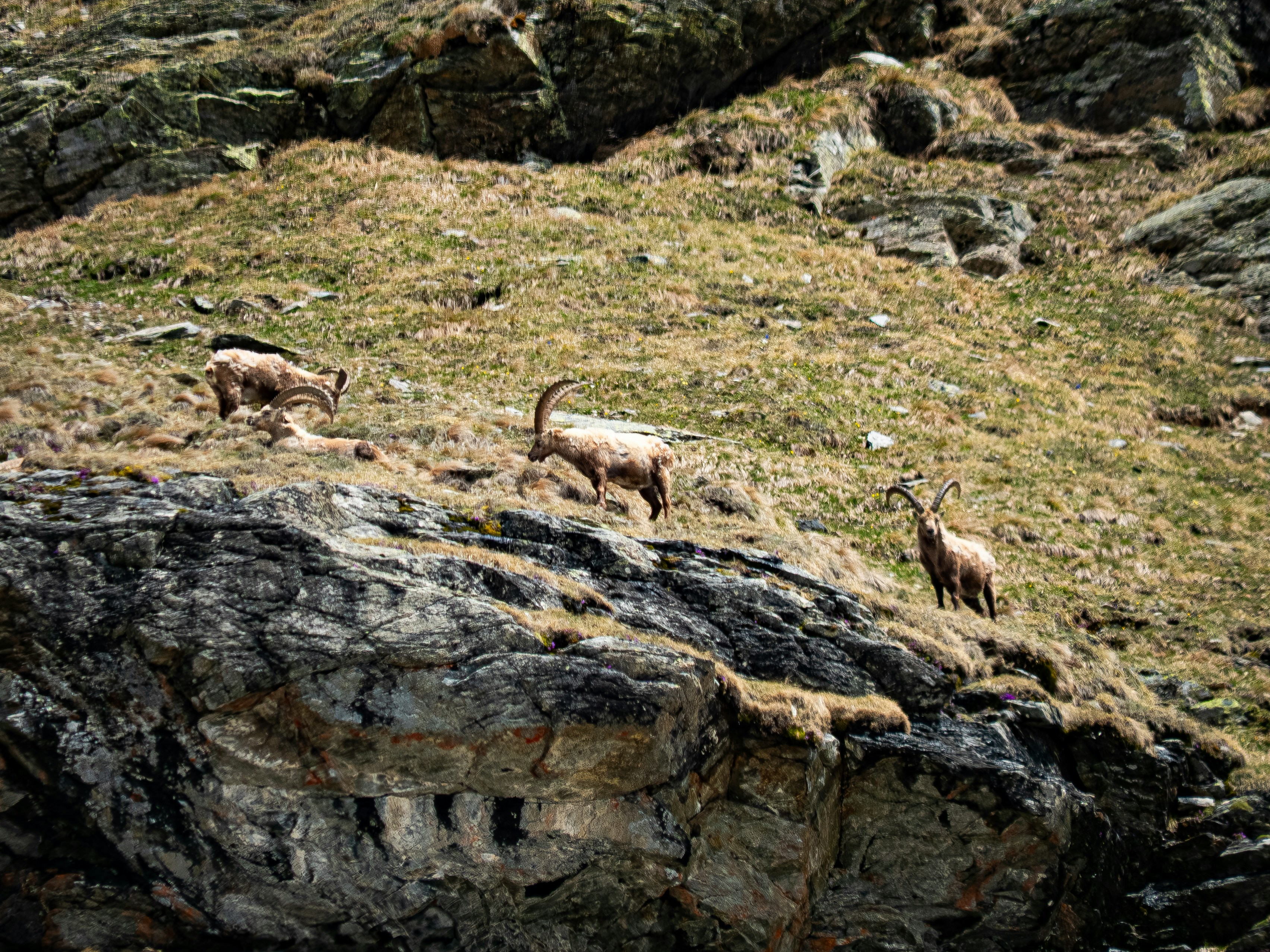 Photo by poli_graphy