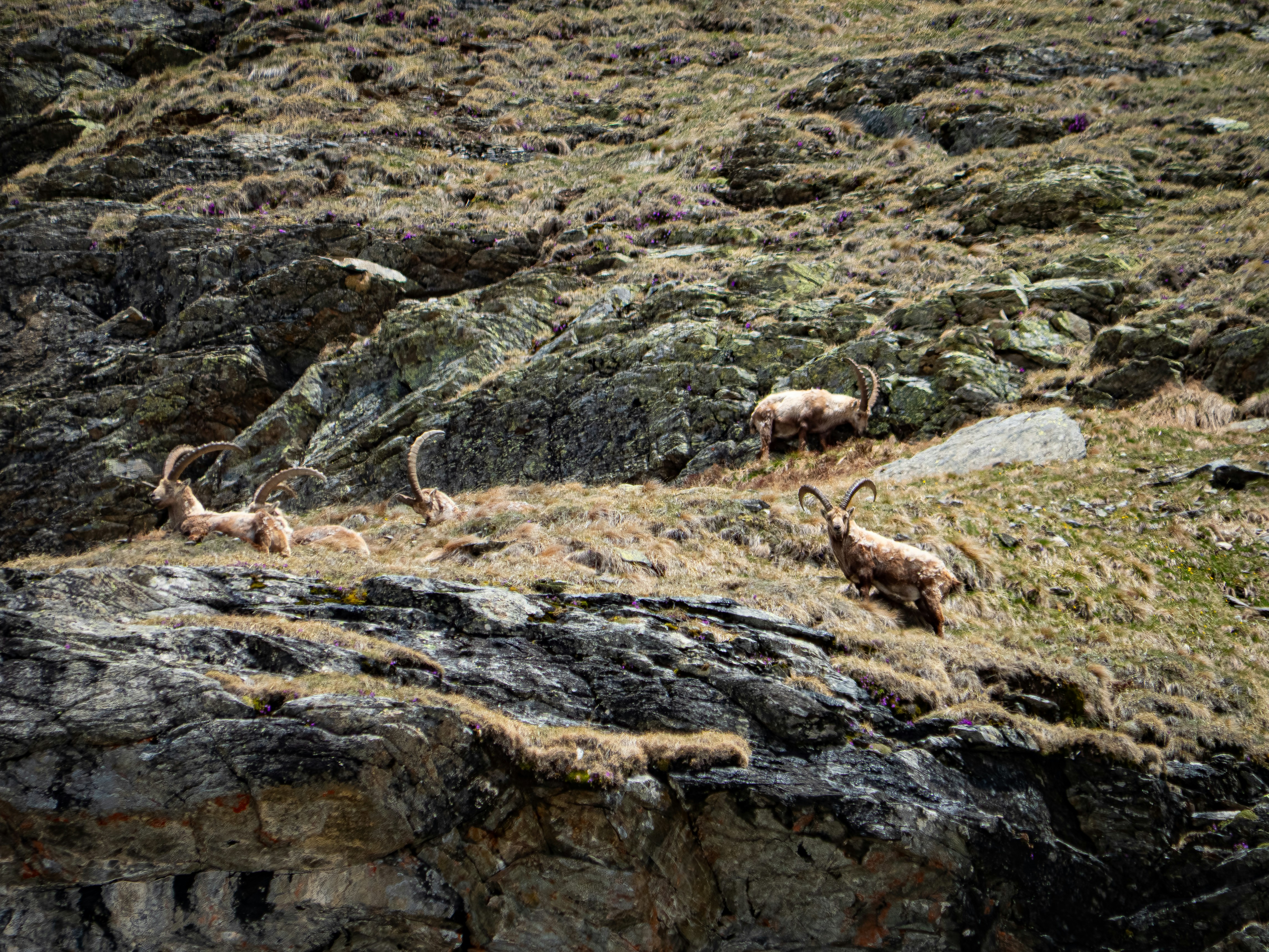 Photo by poli_graphy