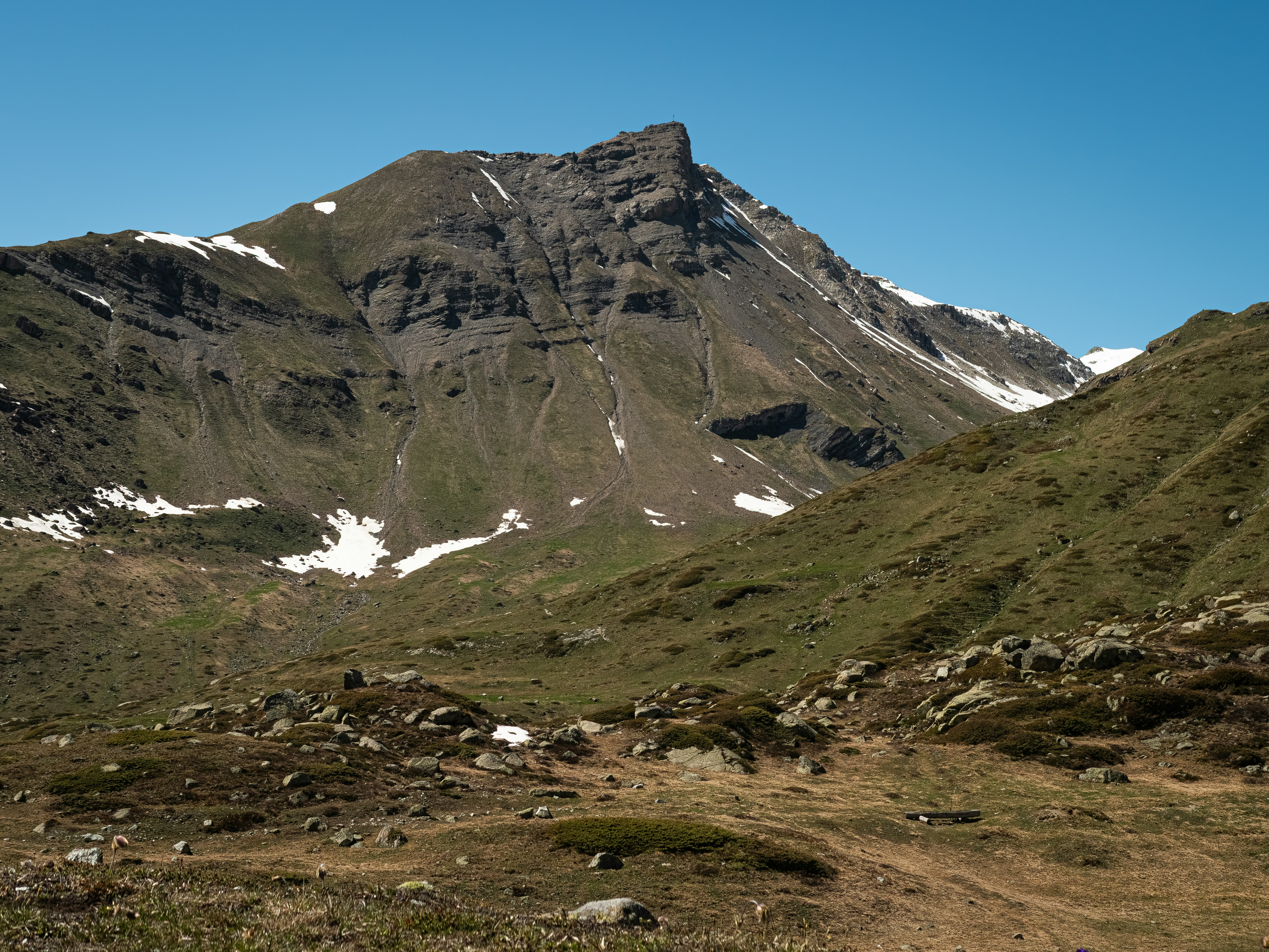 Photo by poli_graphy