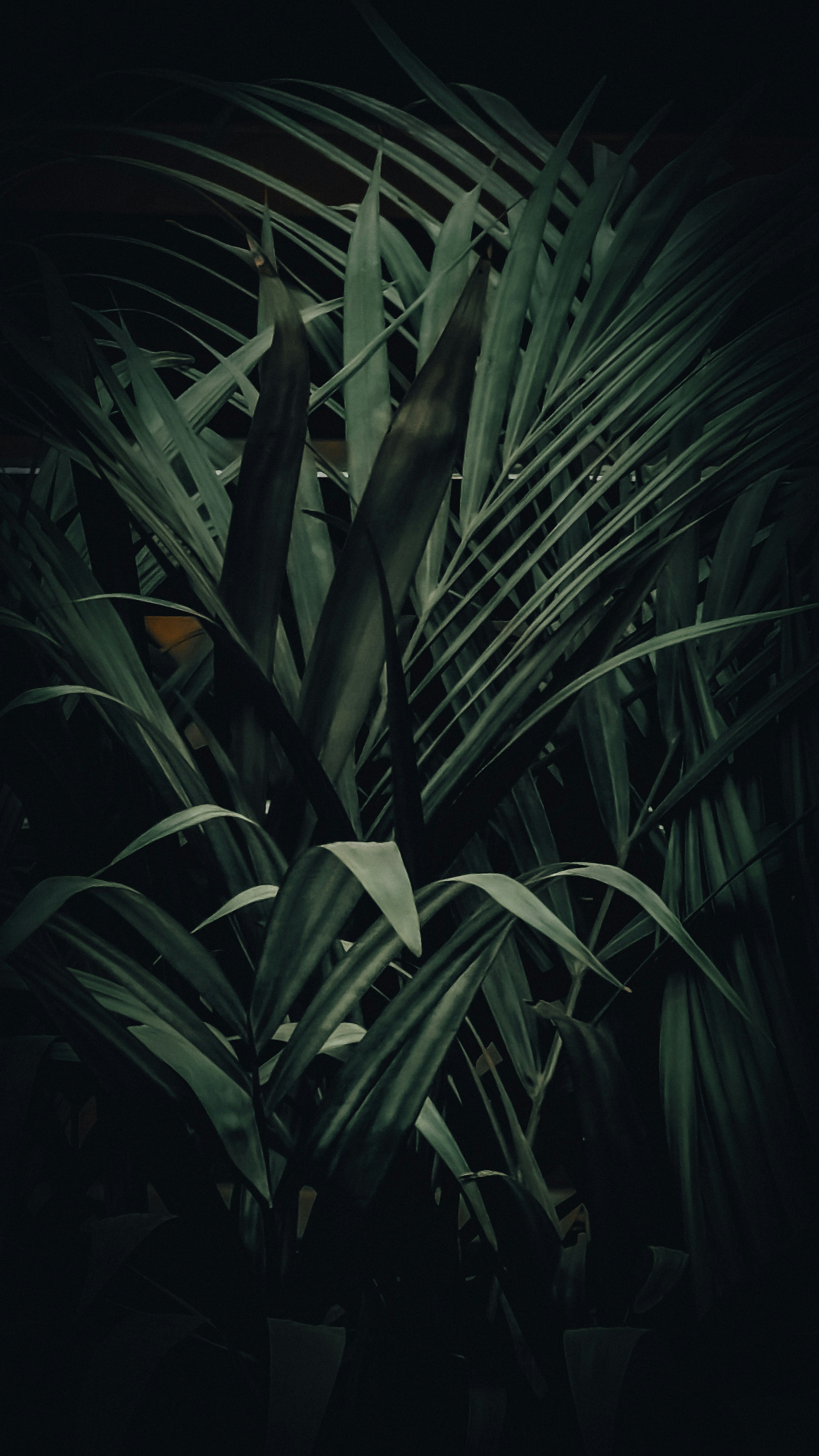 abstract wallpaper 4k dark, wallpaper, Digital Minimalism: Reclaiming Focus in a Noisy World 3