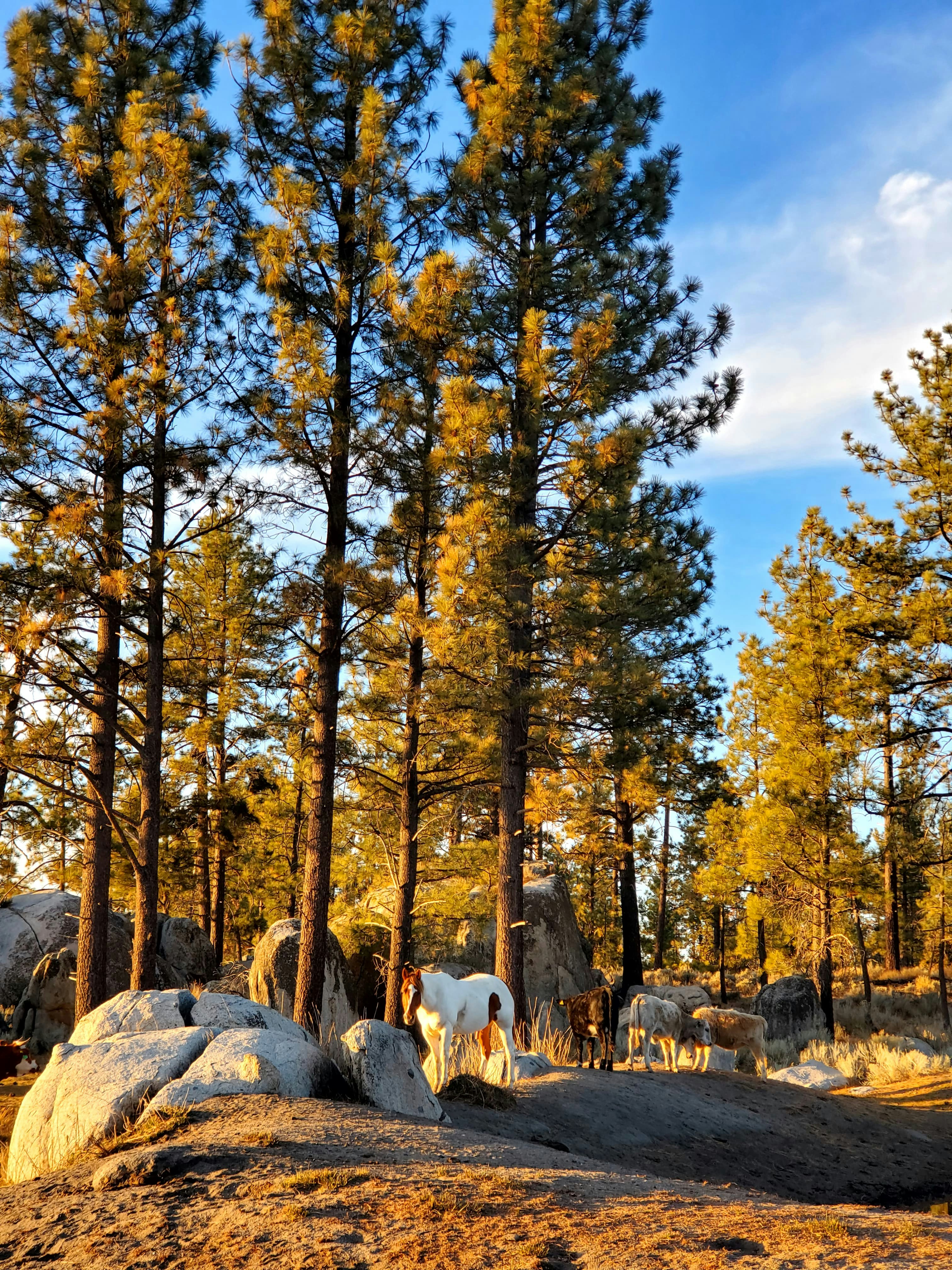 Photo by abrahamfierro87