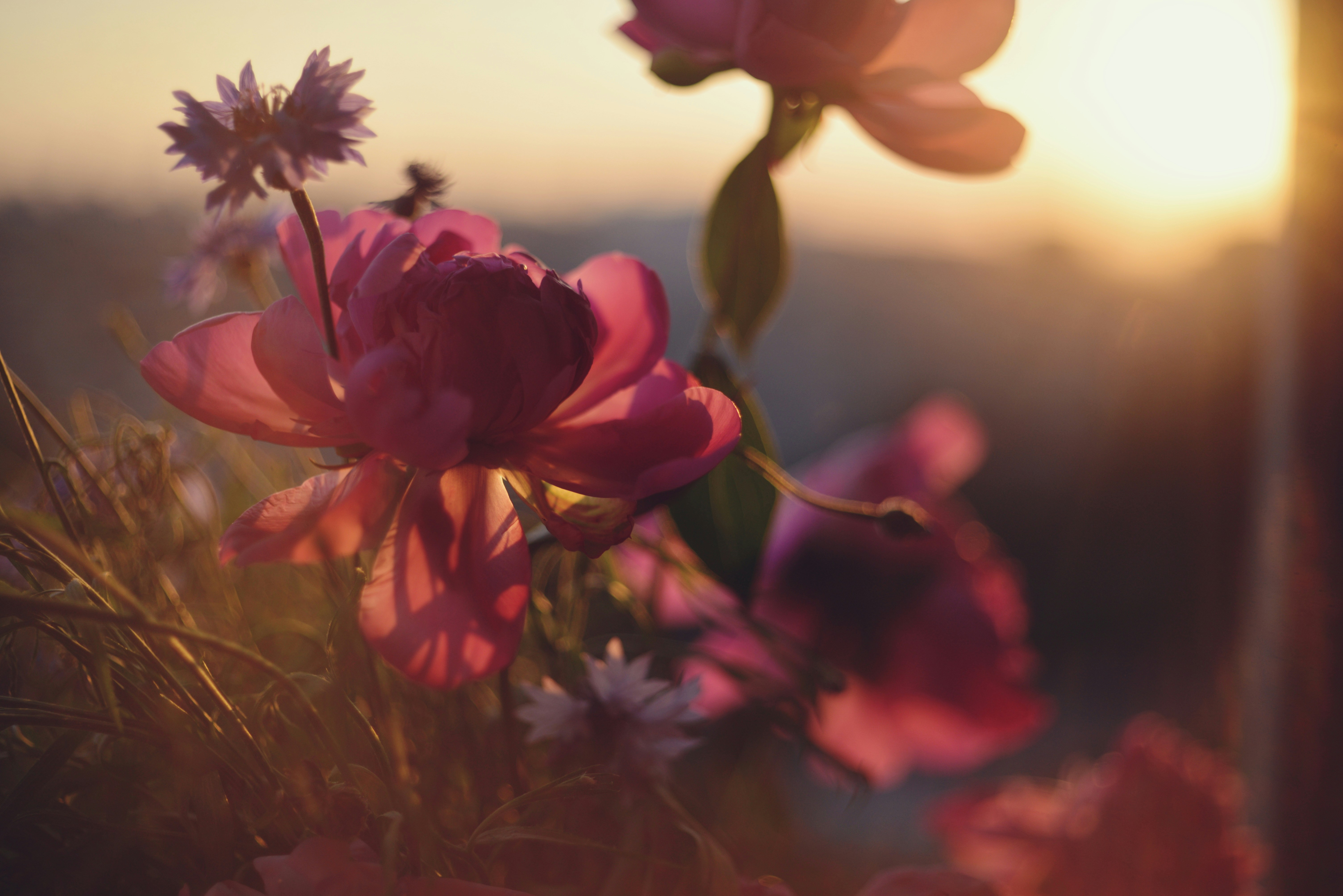 Photo by cherstve_pechivo