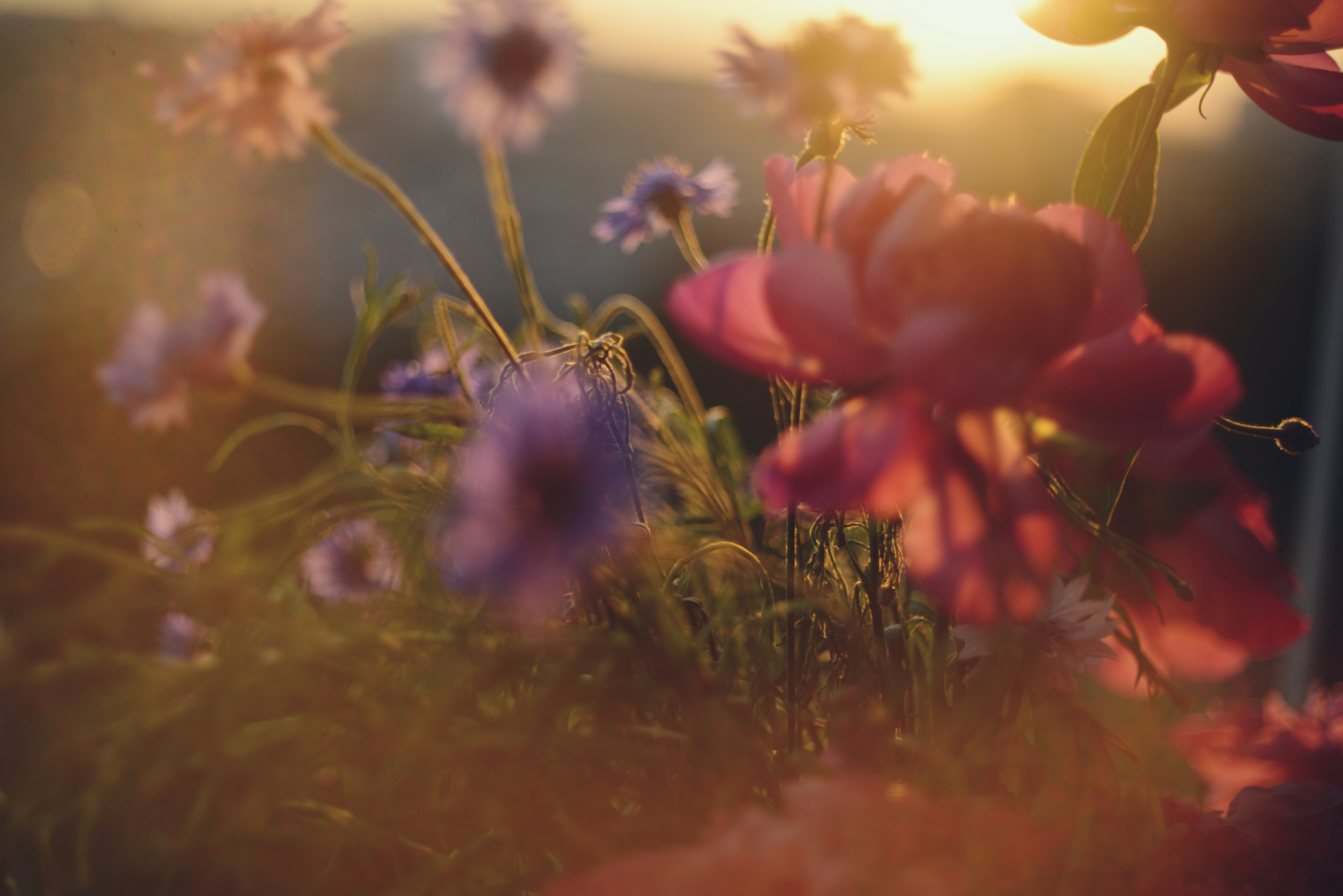 The Significance Of Catholic Education: Urging Belief And Understanding In The Existing Age