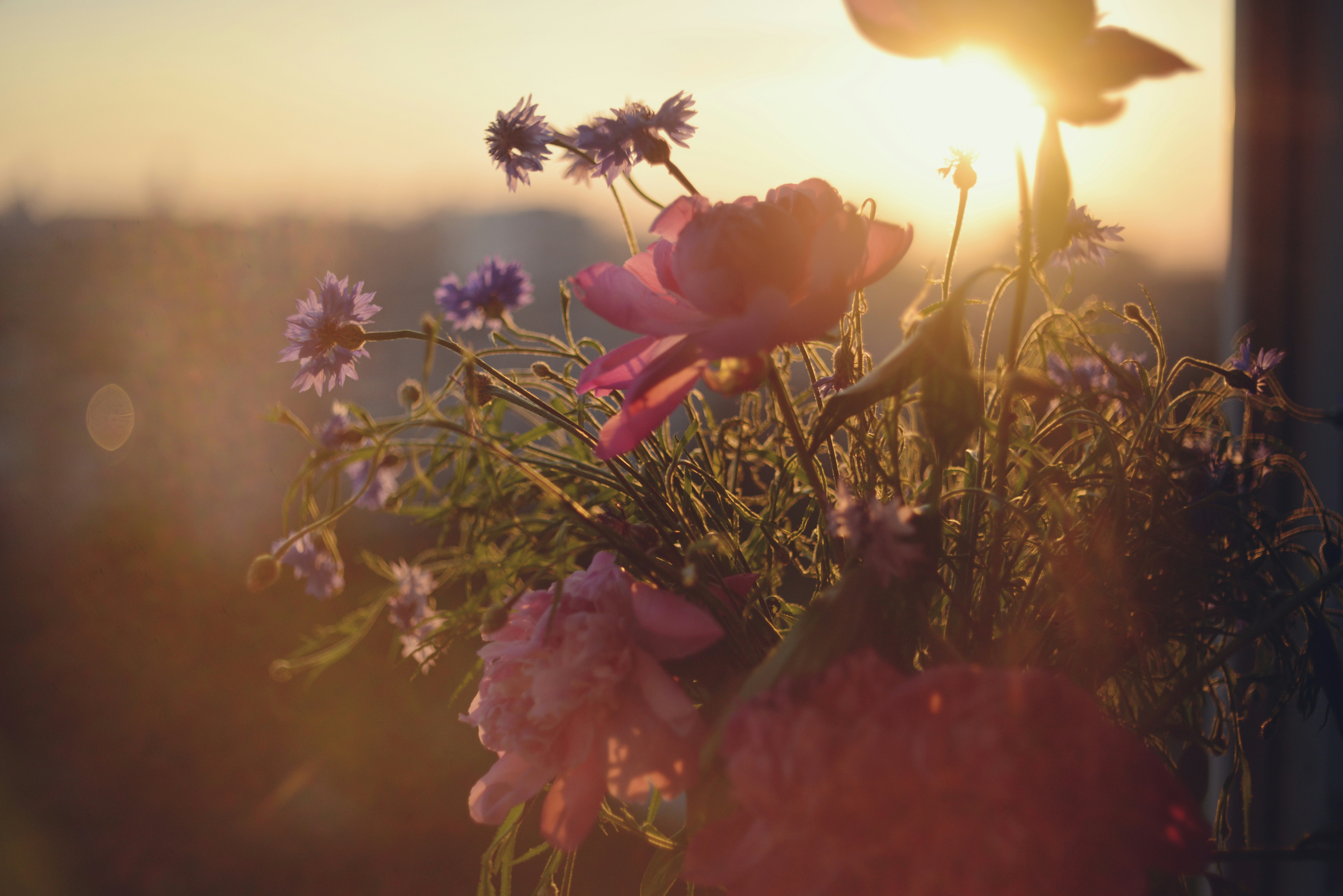 Photo by cherstve_pechivo