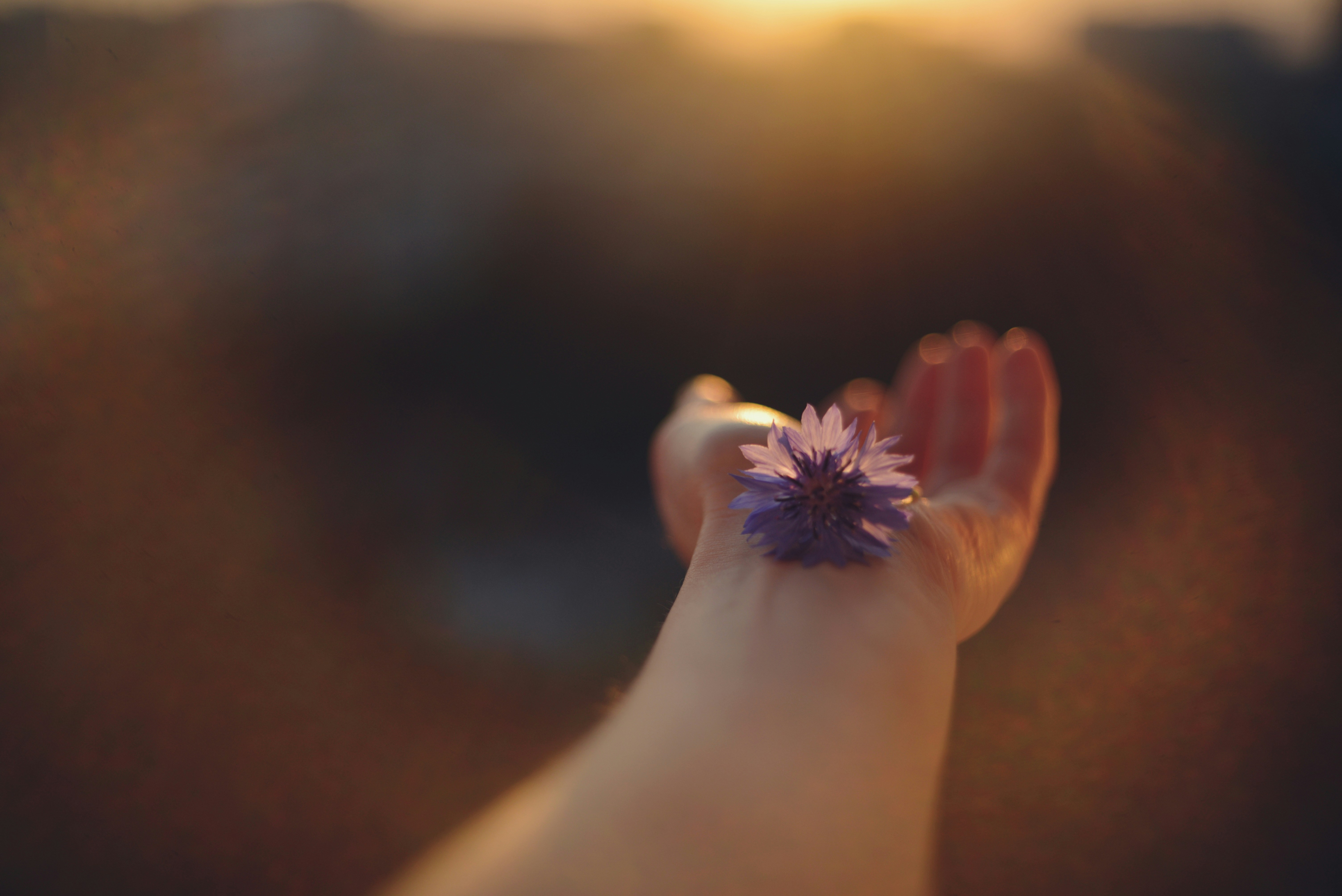 Photo by cherstve_pechivo