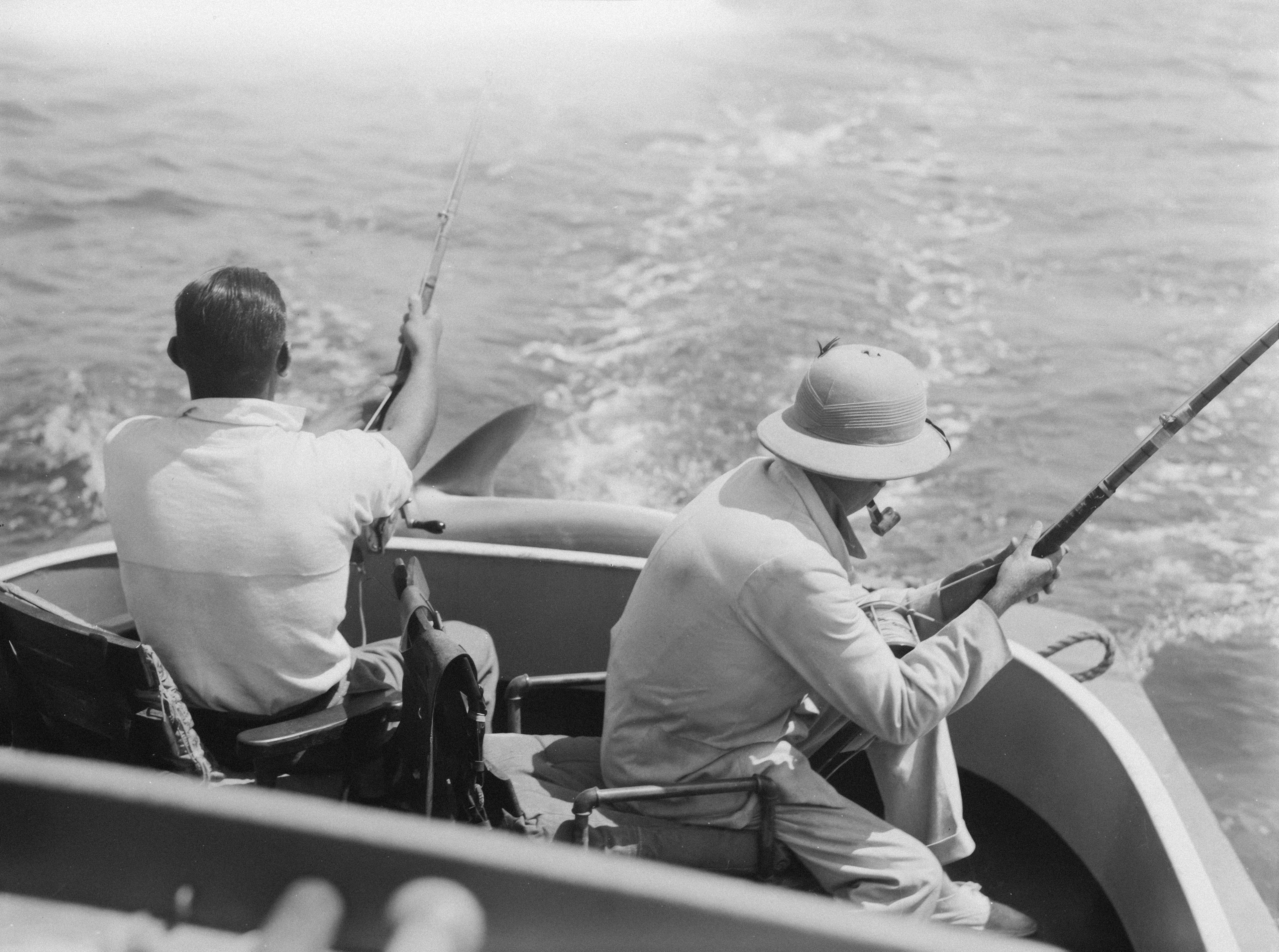 Photo by aucklandmuseum