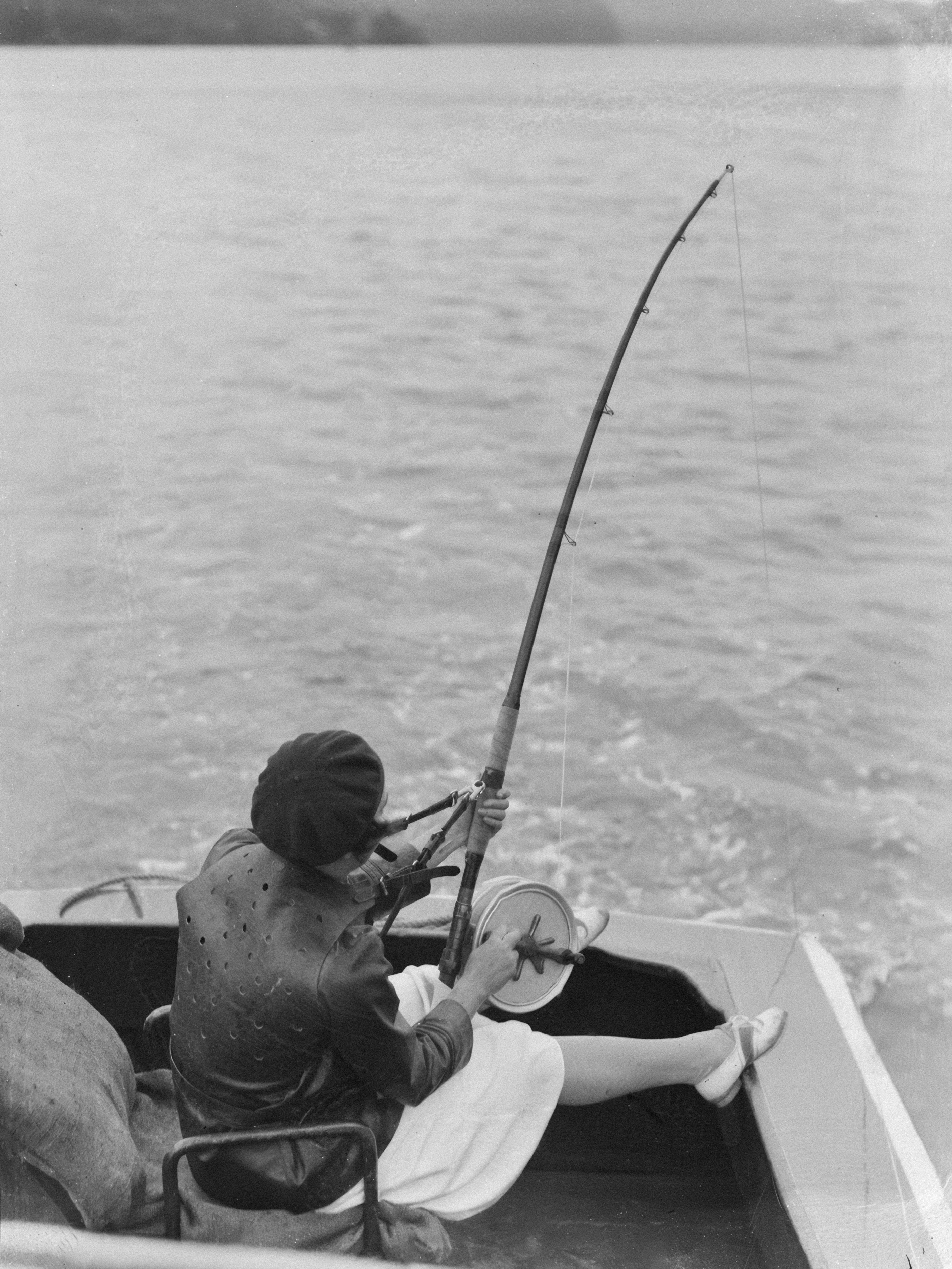 Photo by aucklandmuseum