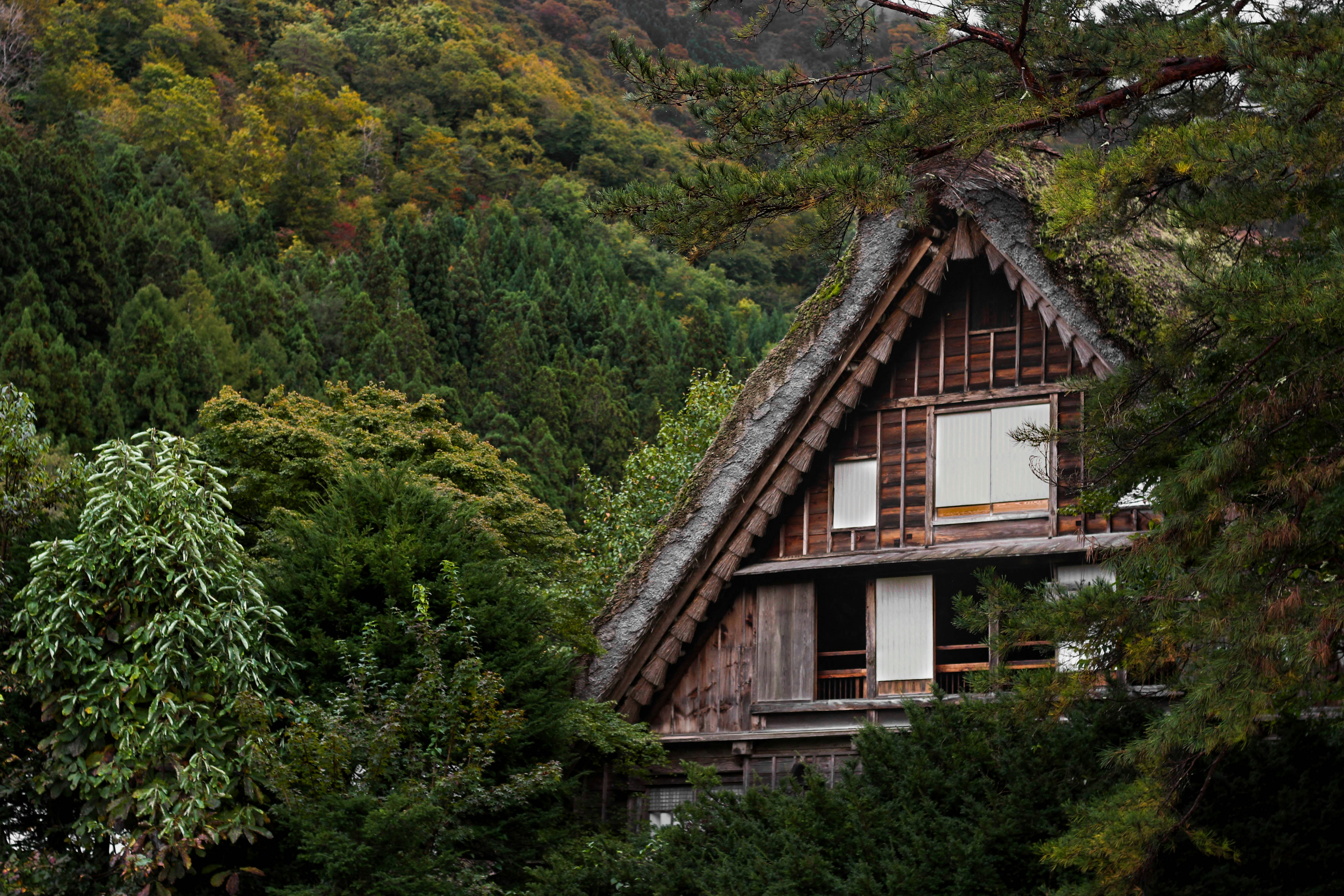 Hidden Mountain Cabin in Japanese Alps