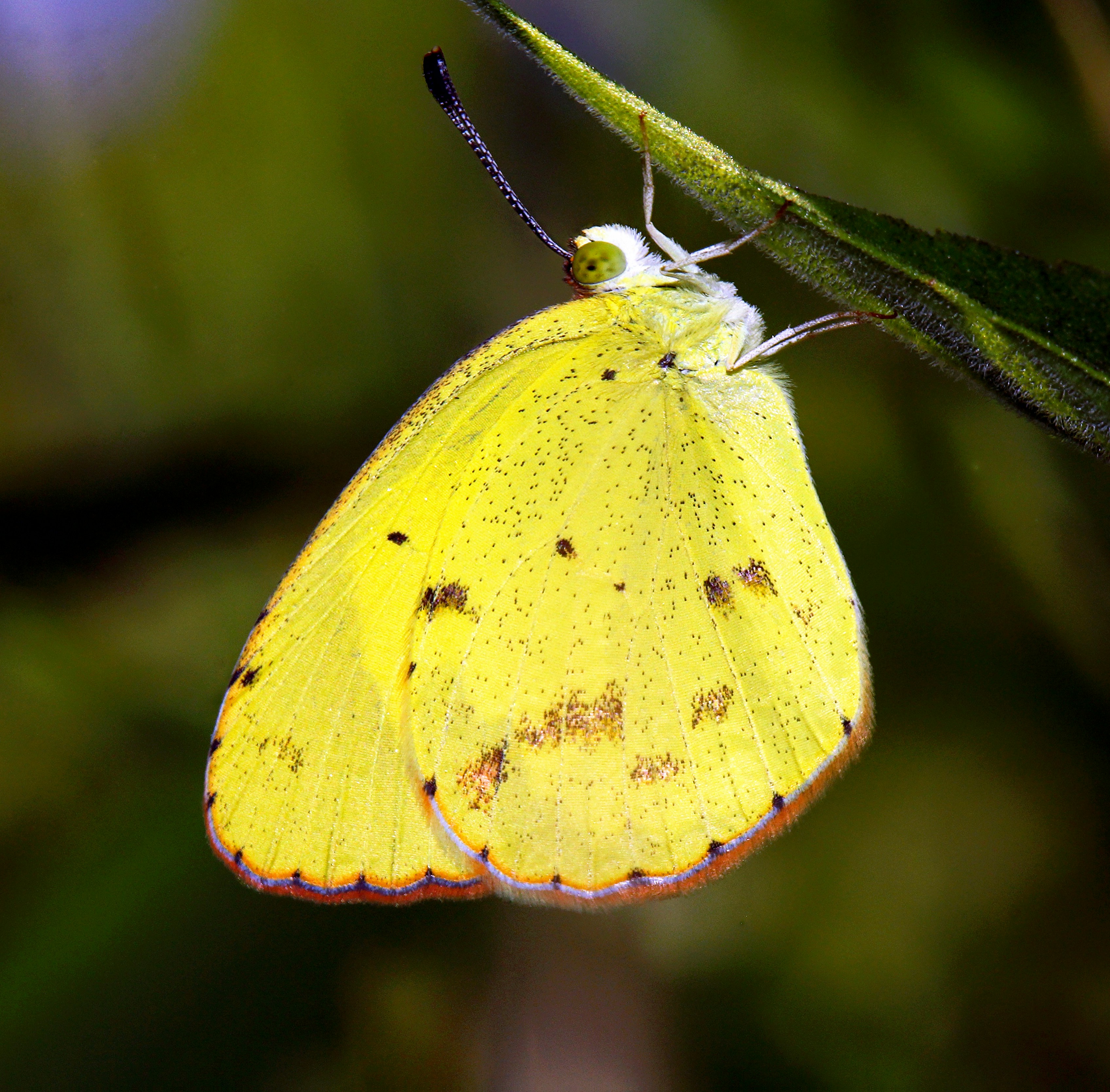 Photo by telliottmbamsc