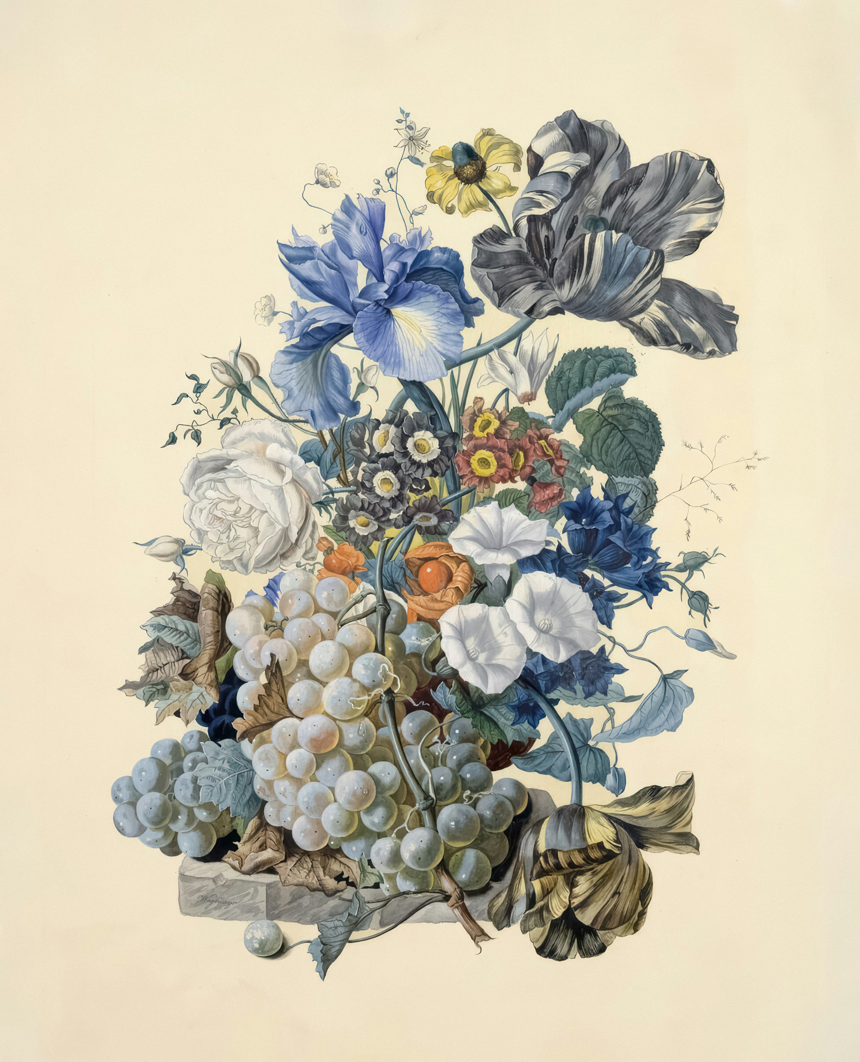 A detailed still life of flowers and grapes