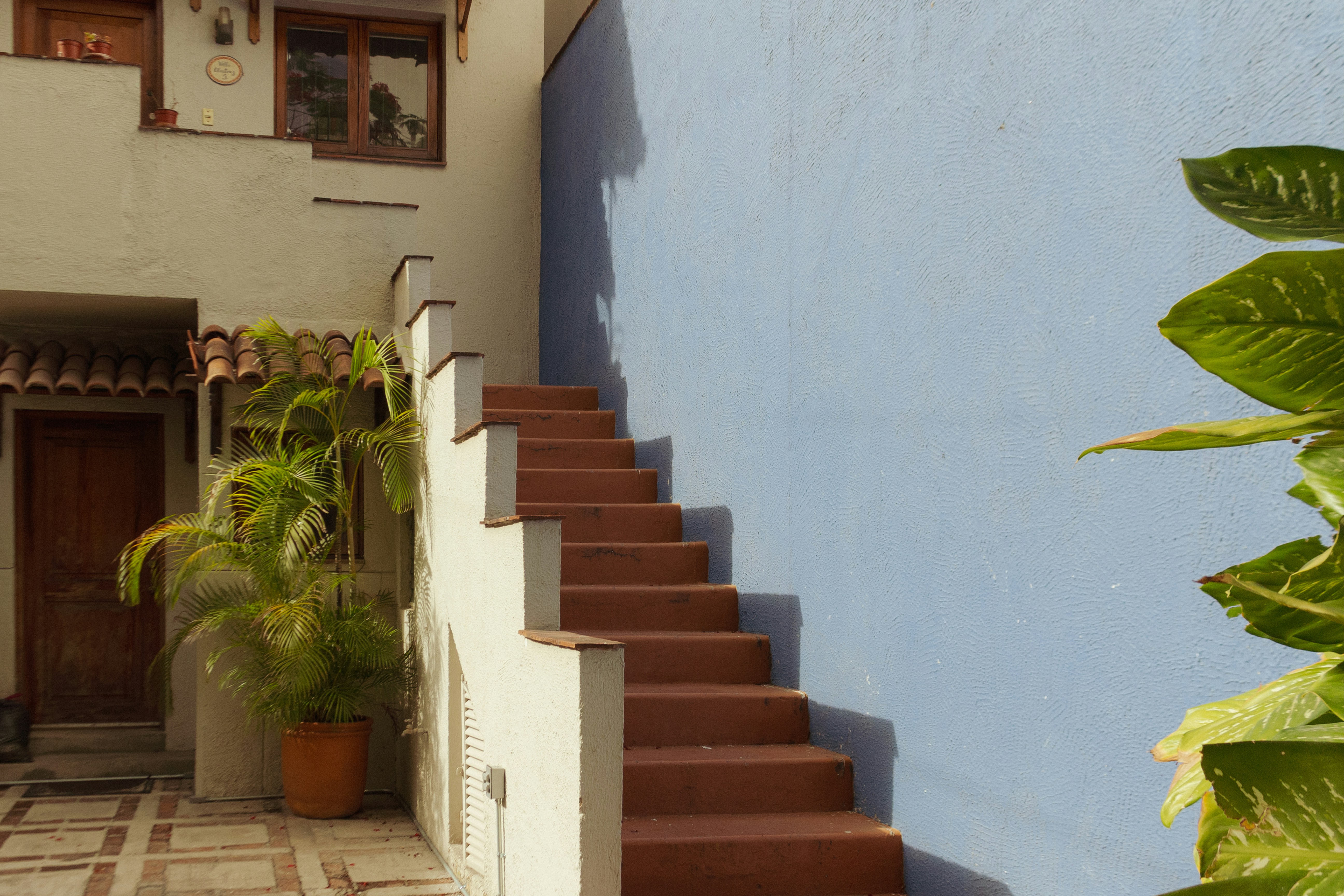 Stairs ascend beside a vibrant blue wall.