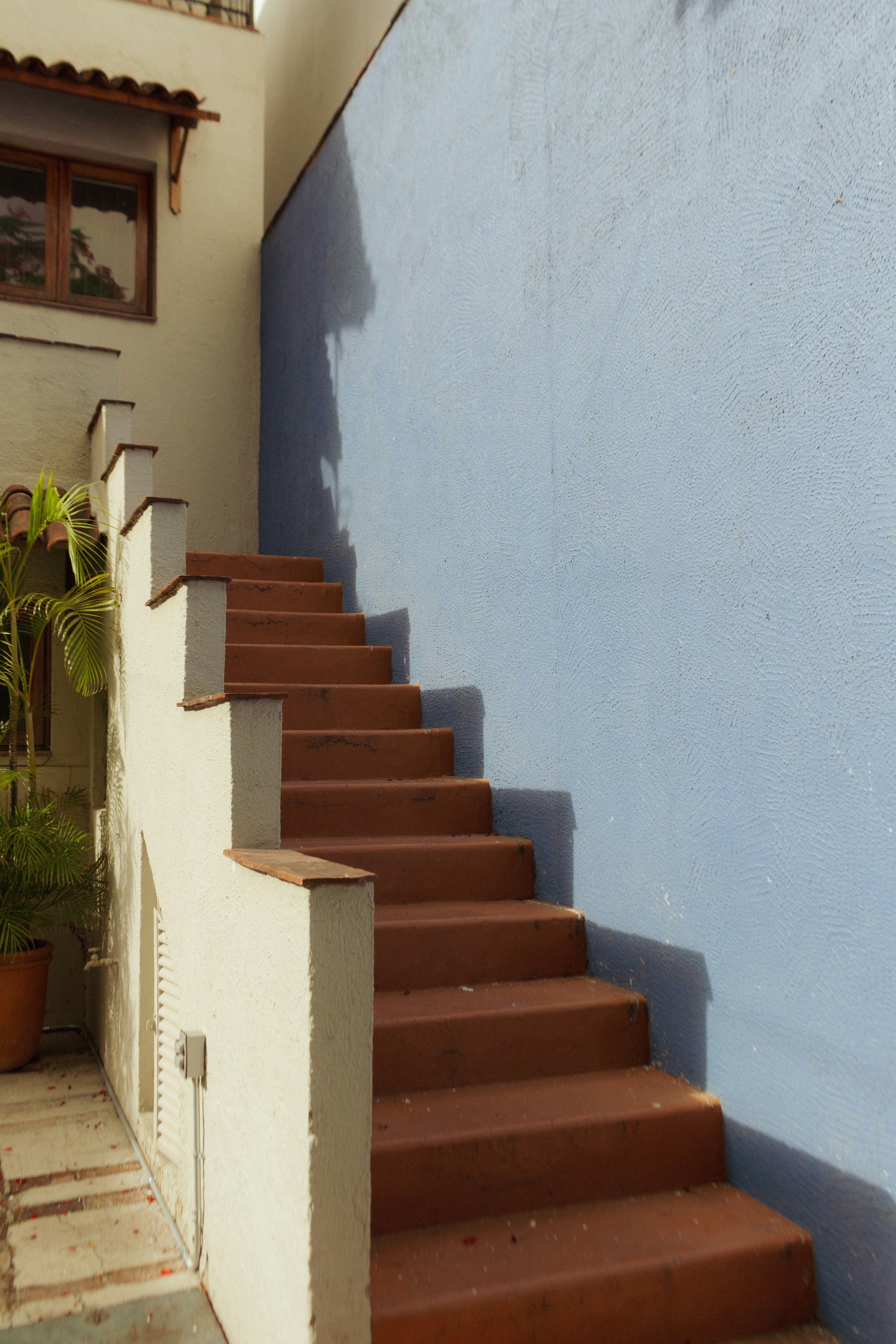Stairs lead upward, against a blue wall.