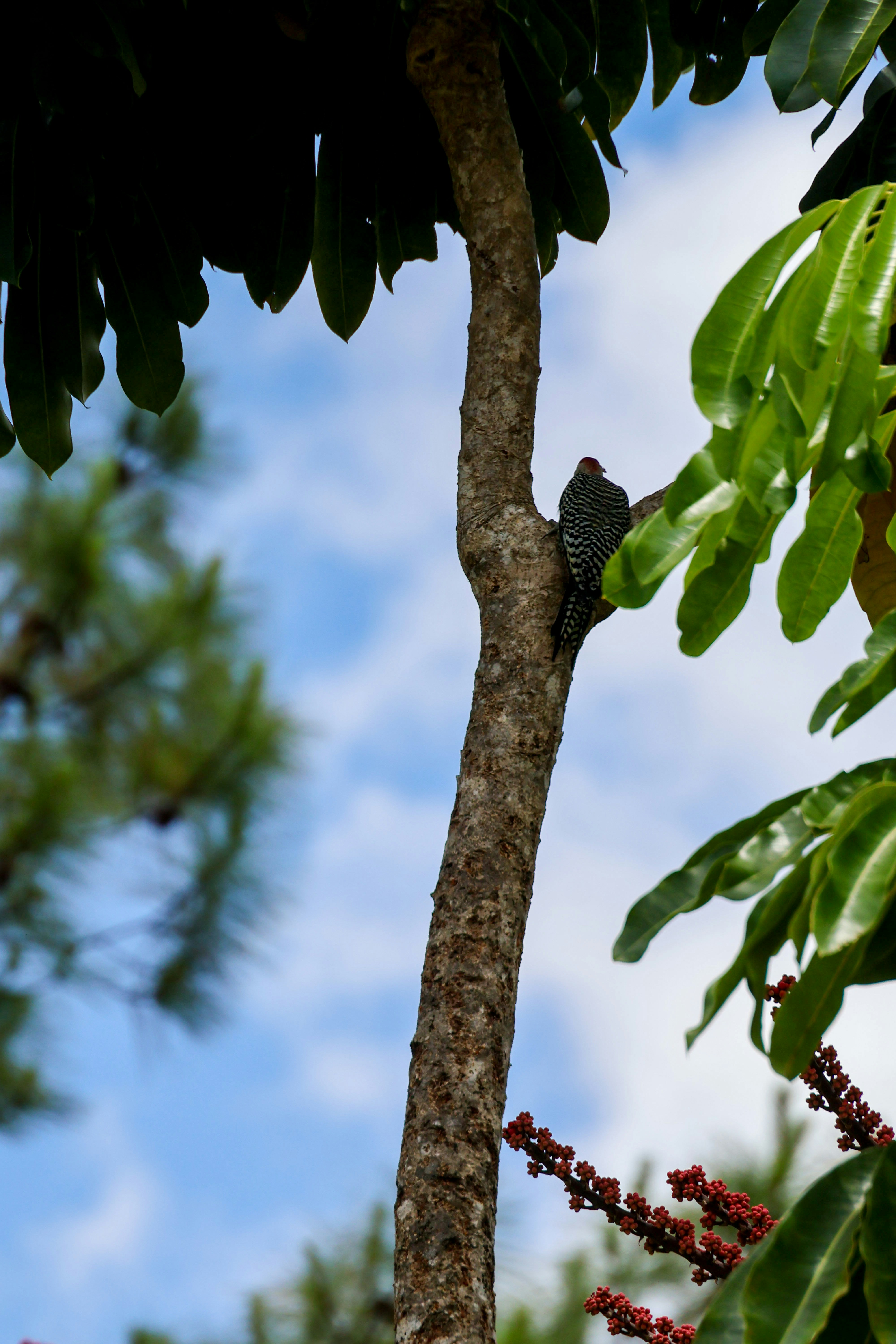 Photo by traveleroohlala