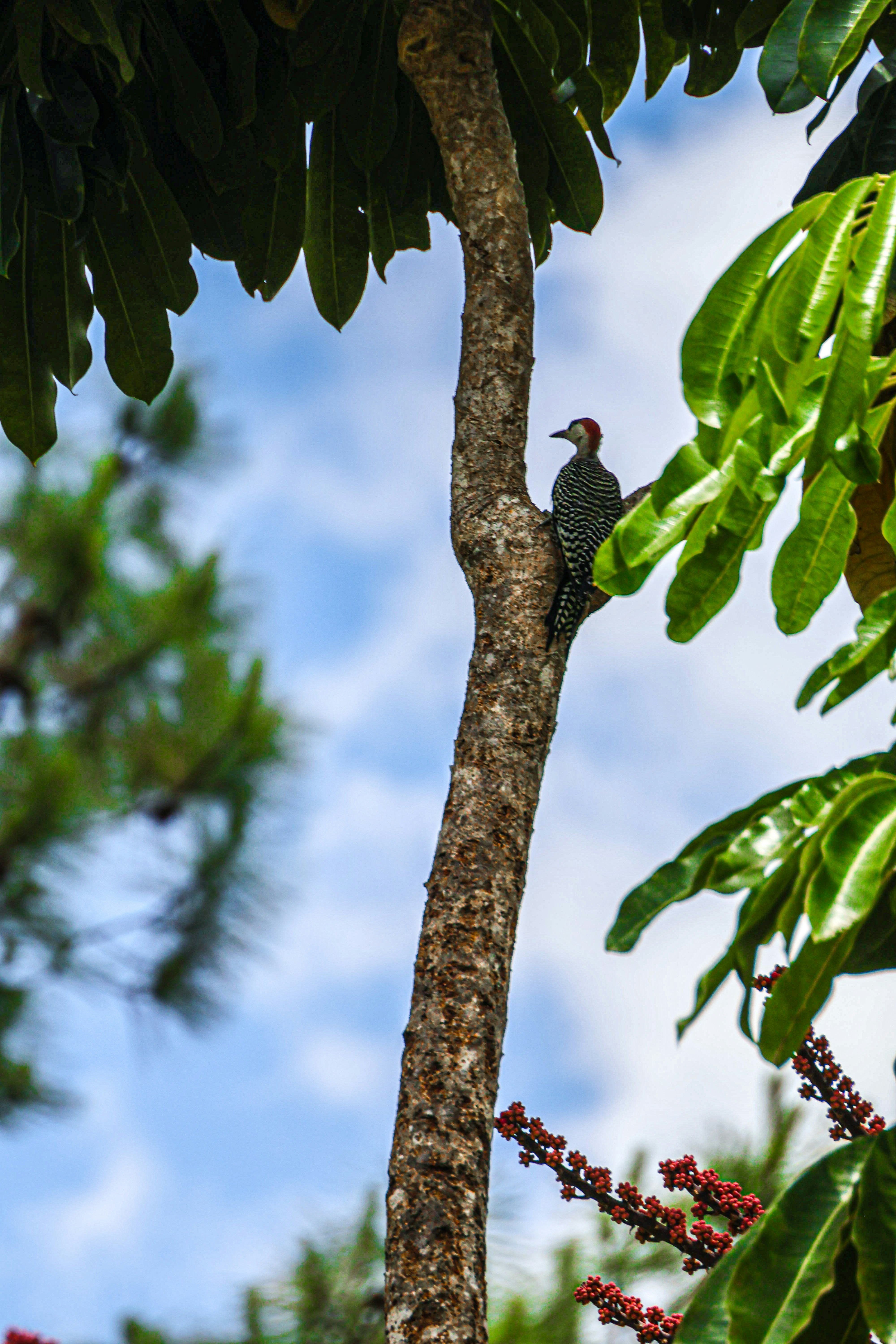 Photo by traveleroohlala