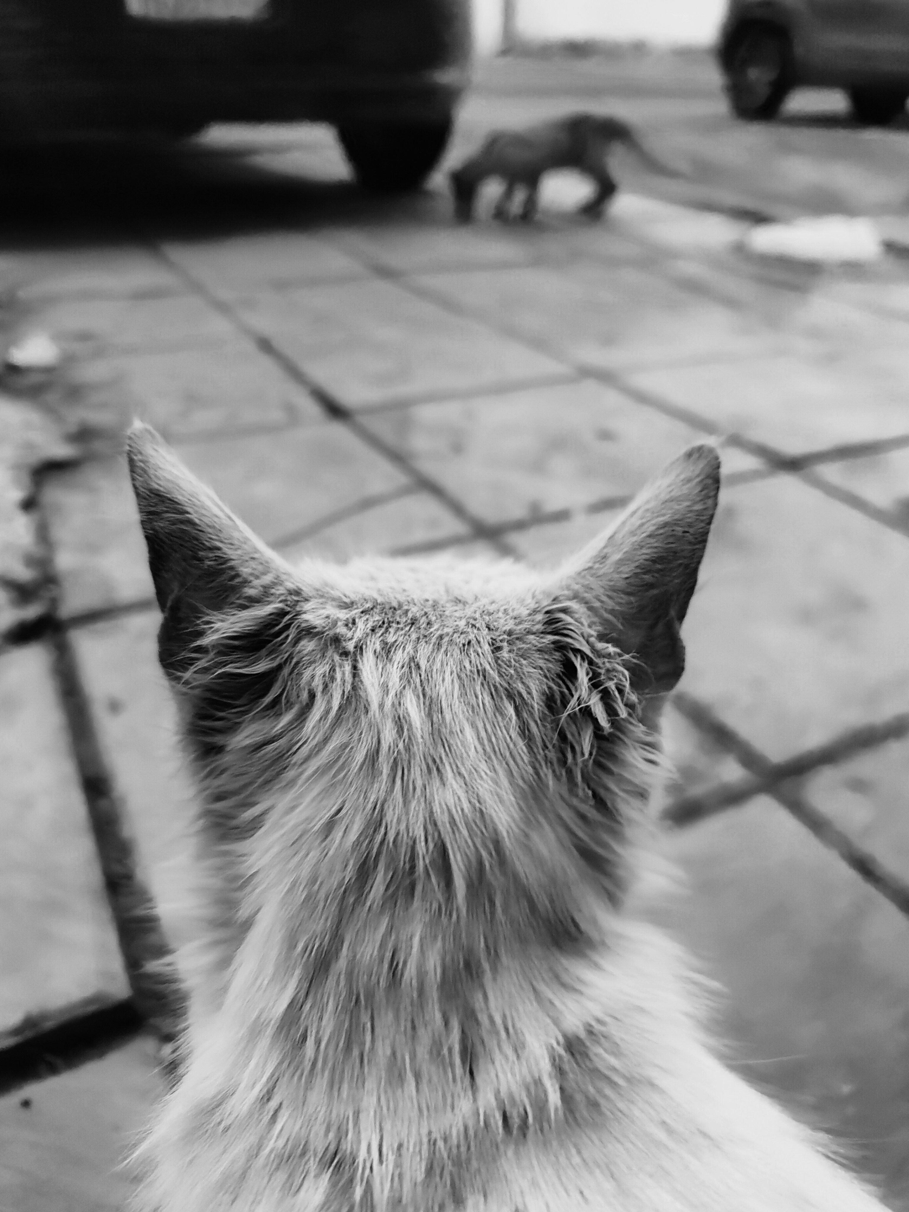 Ayman Rakib (@mr_ayman) | Unsplash Photo Community