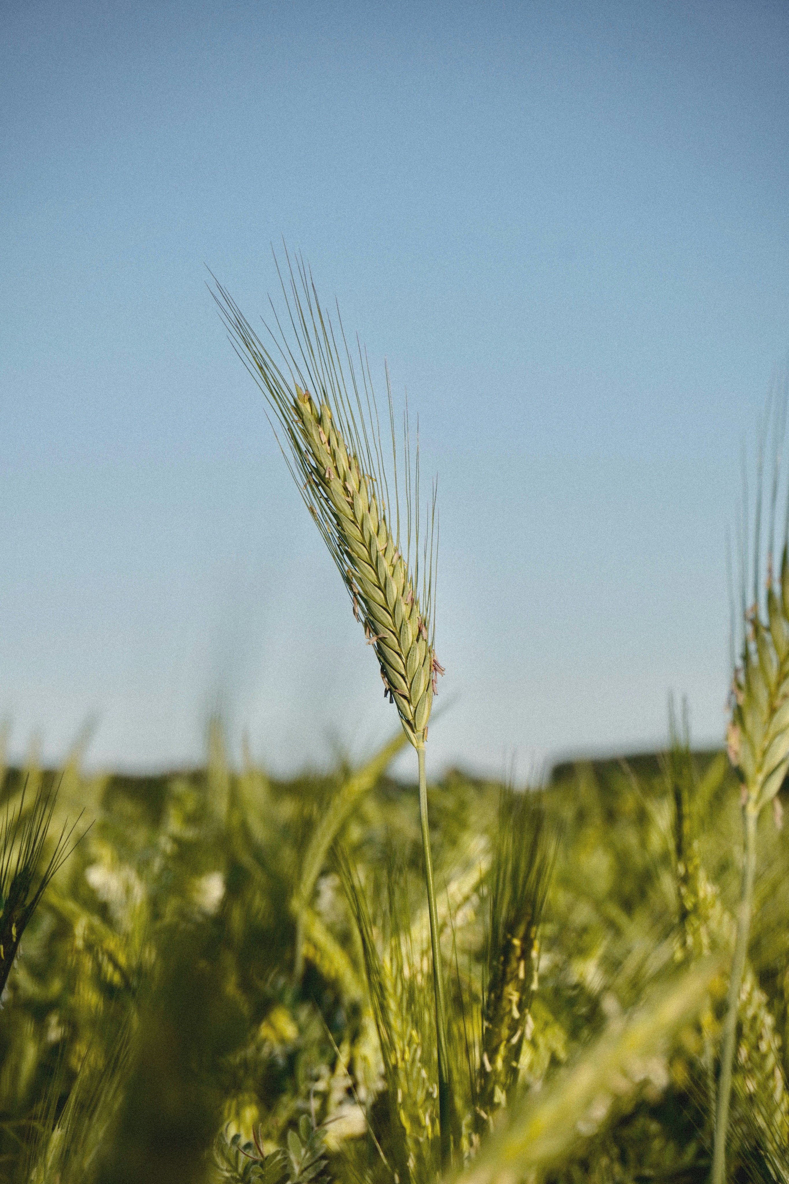 Photo by franziskawe01