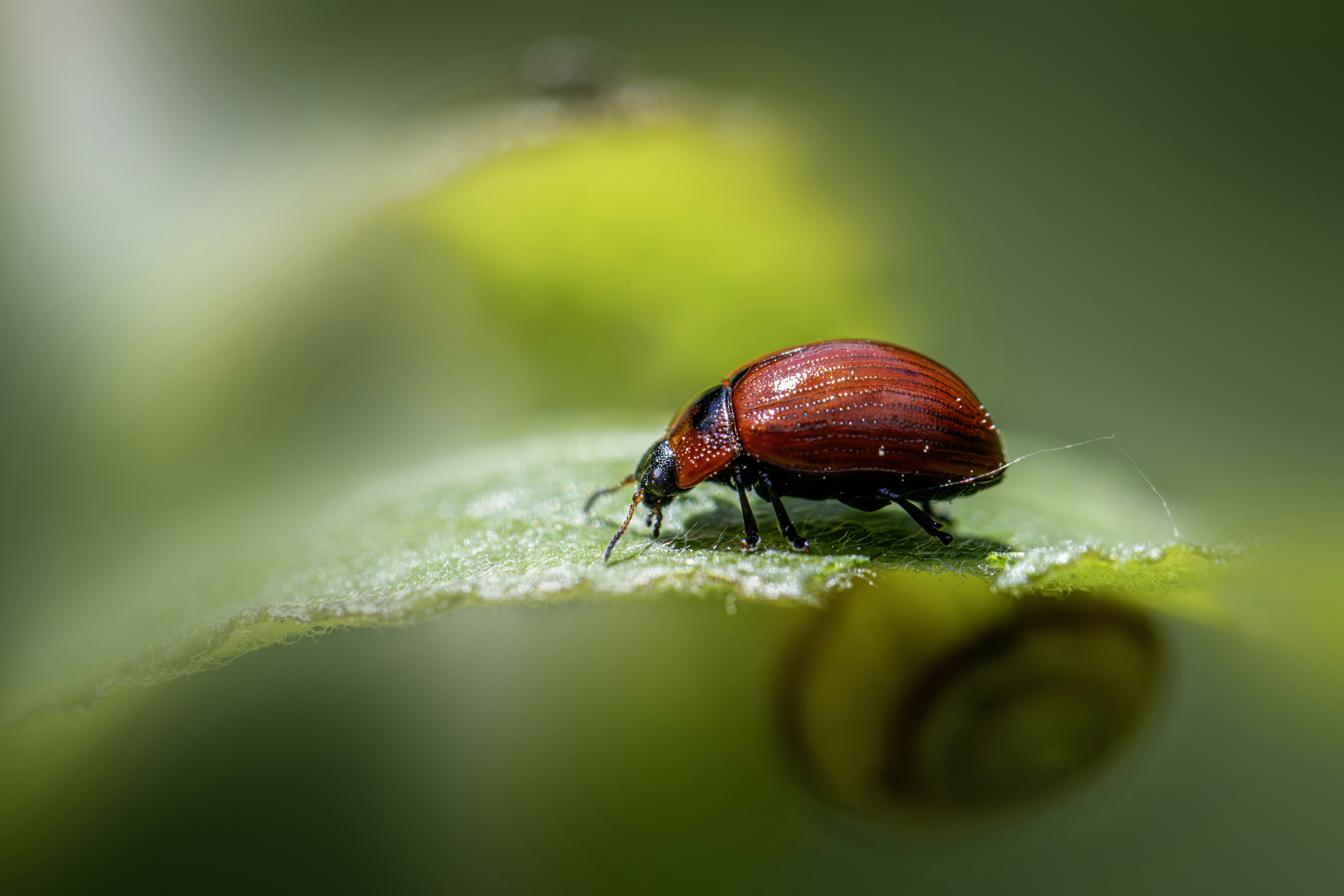 Photo by erik_karits