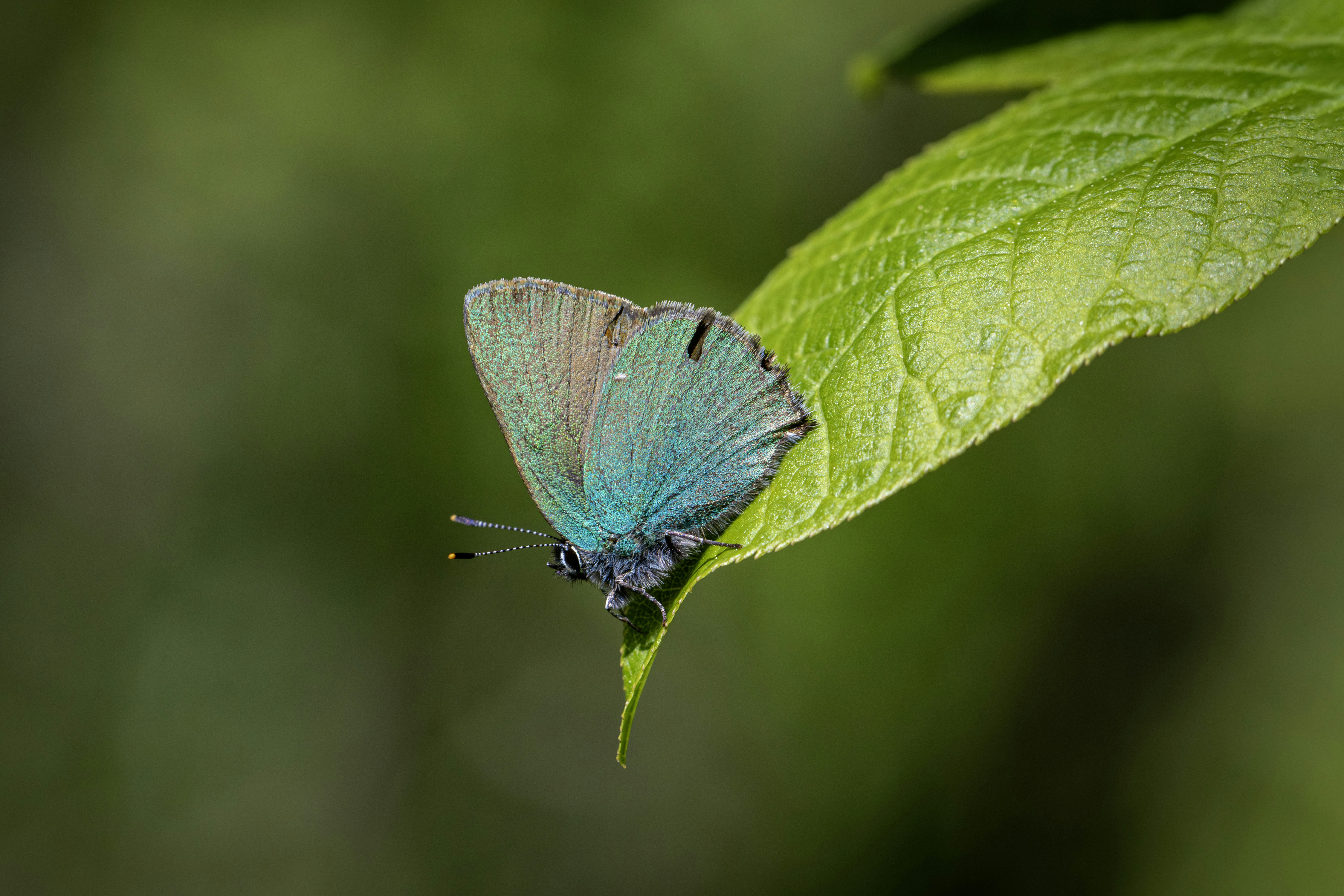 Photo by erik_karits