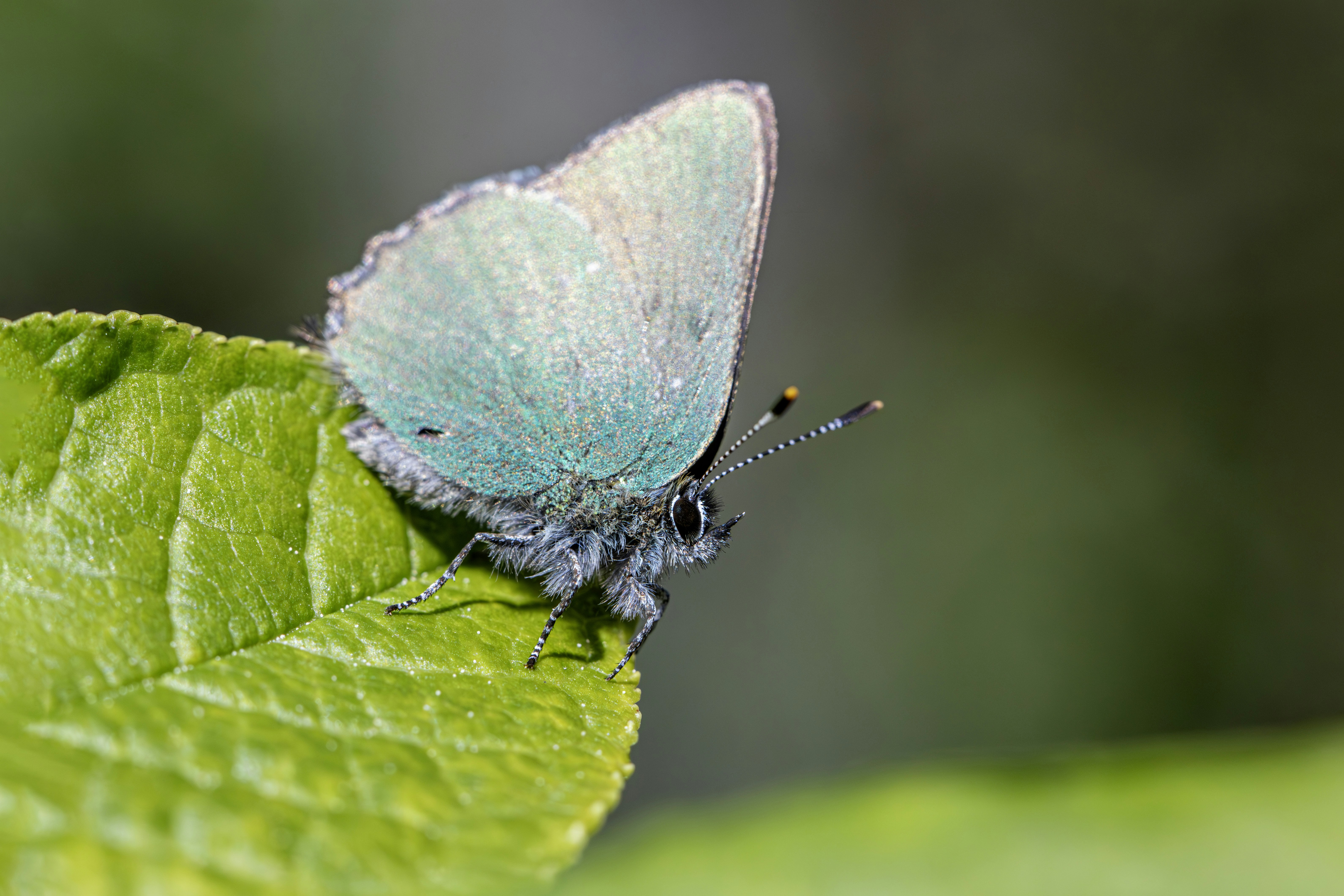 Photo by erik_karits