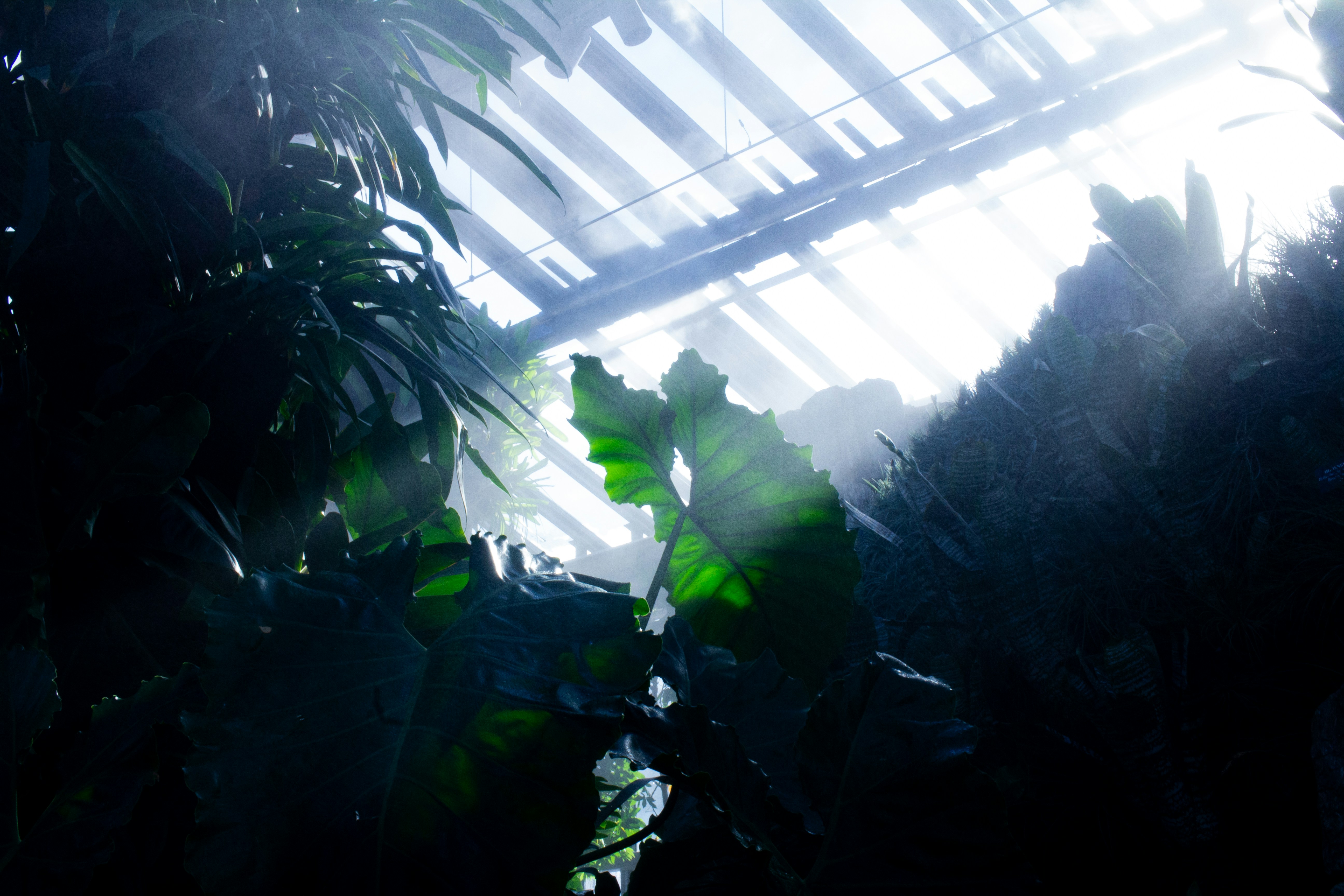 Photo by jennys_eye0