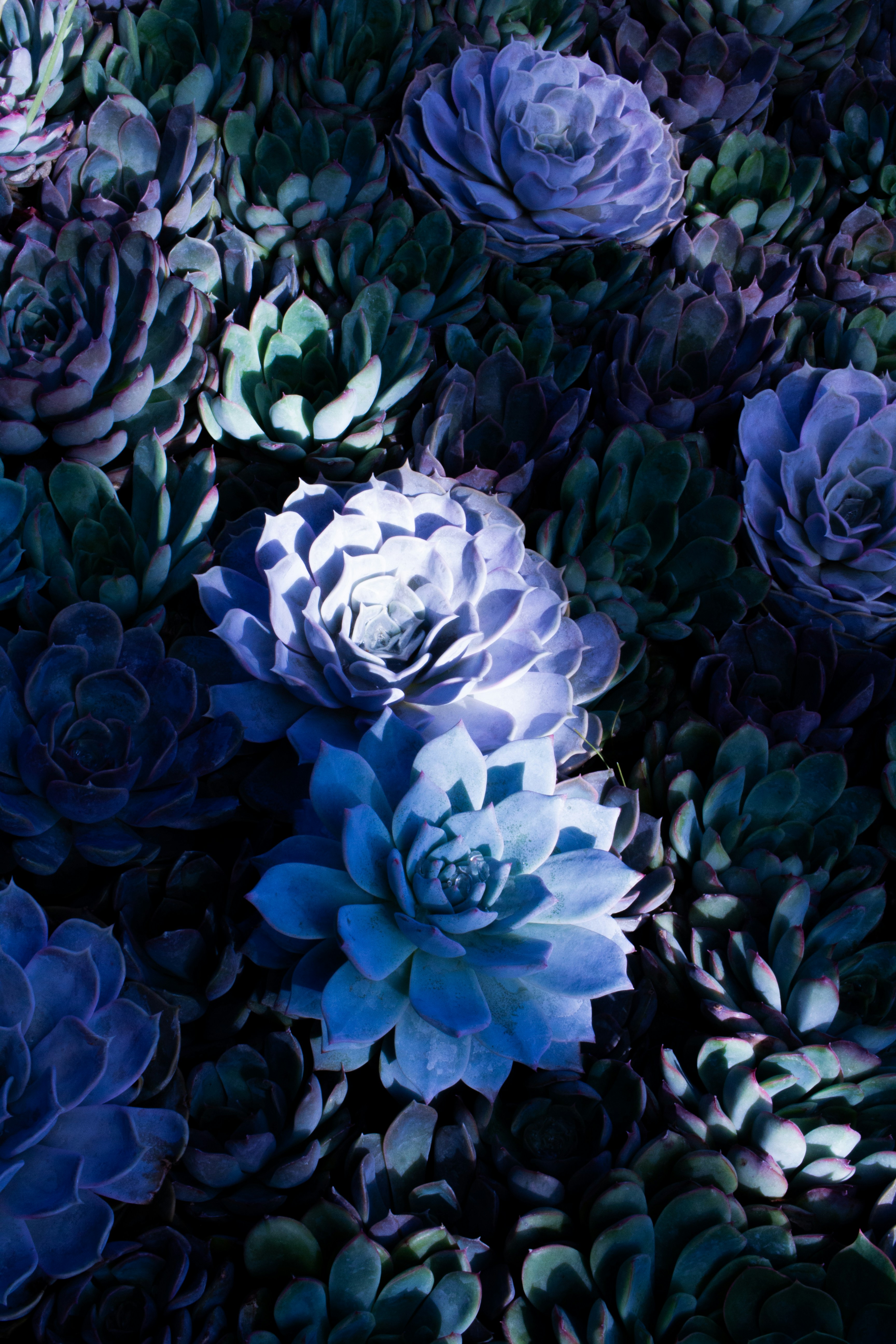 Photo by jennys_eye0