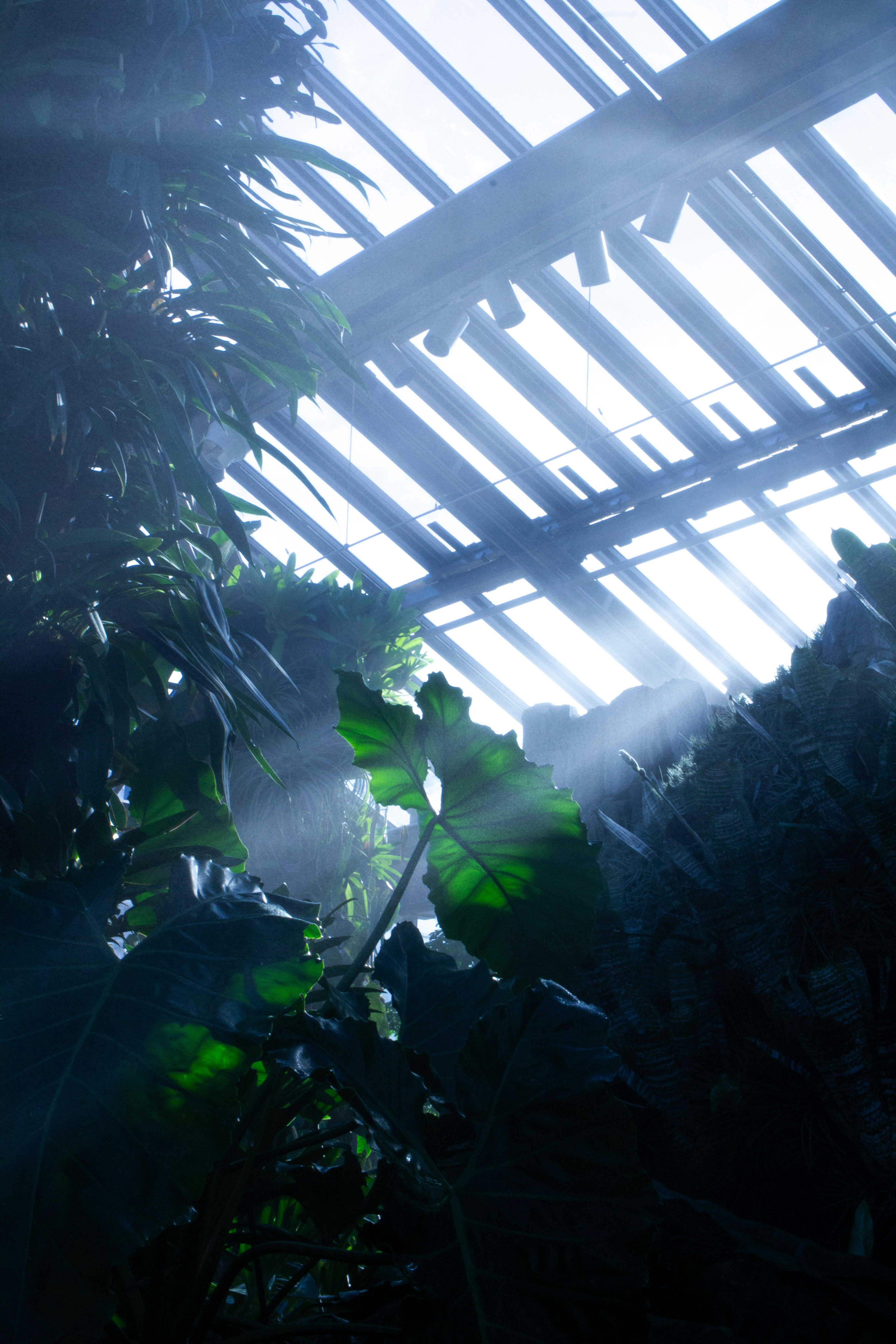 Photo by jennys_eye0