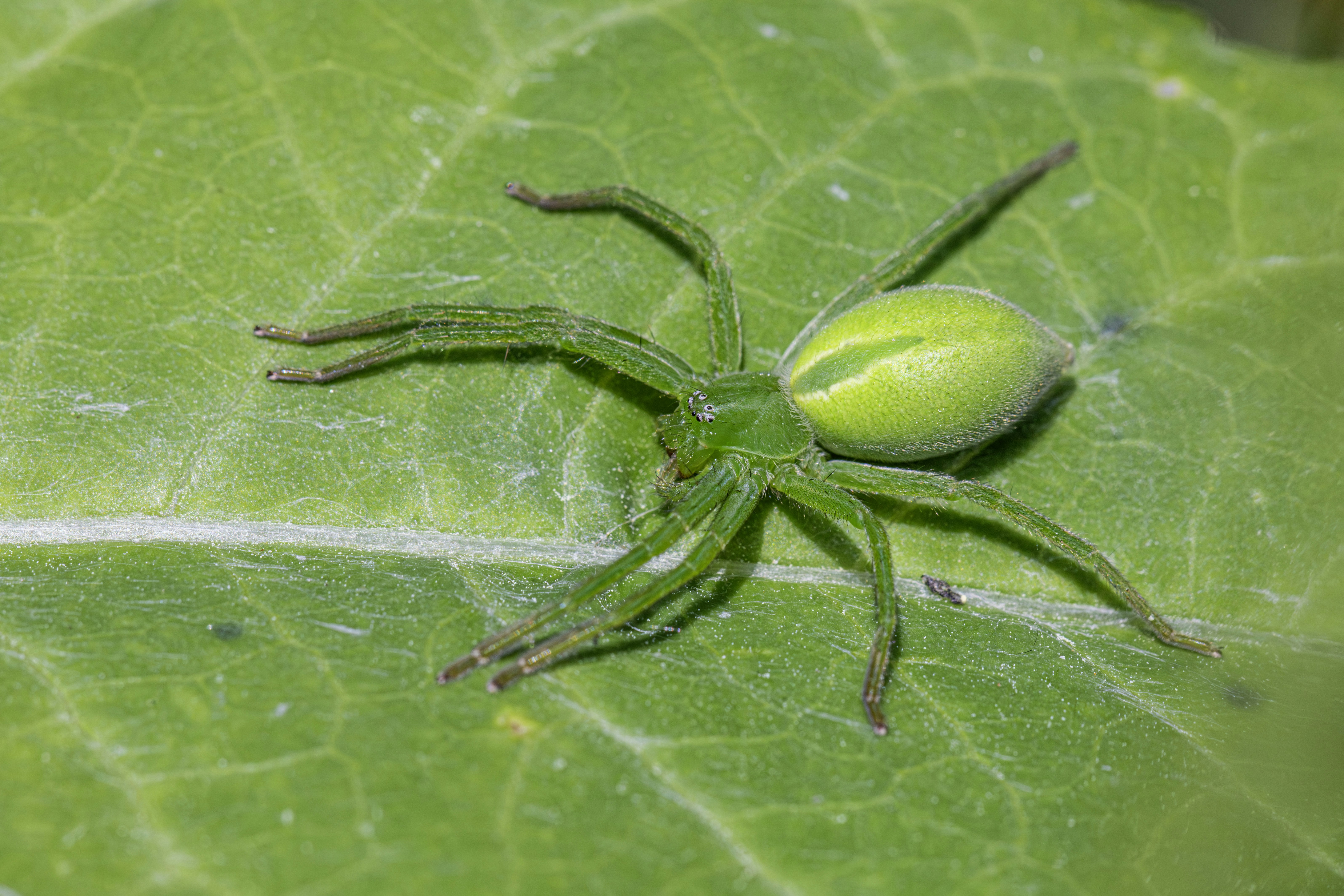 Photo by erik_karits