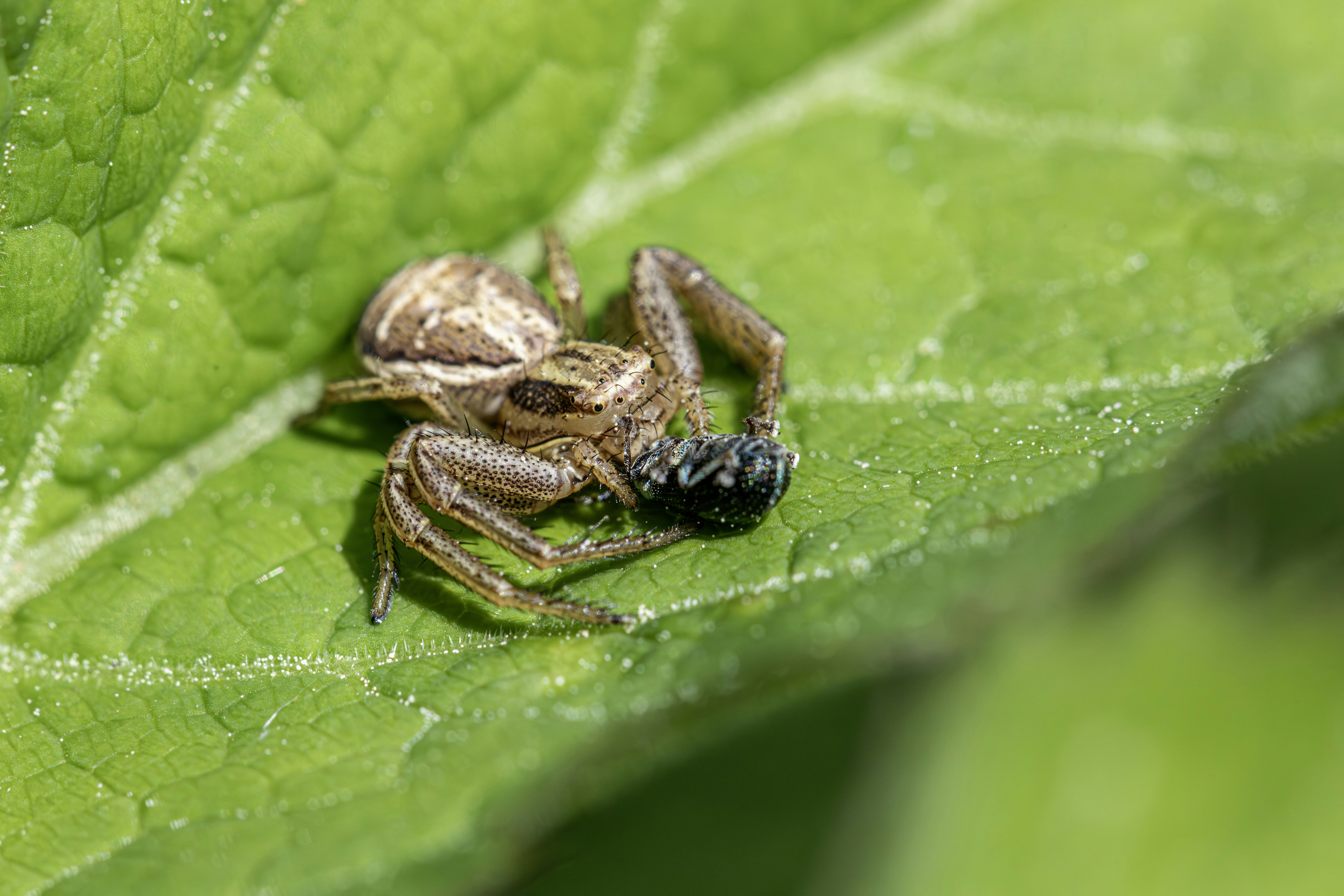 Photo by erik_karits