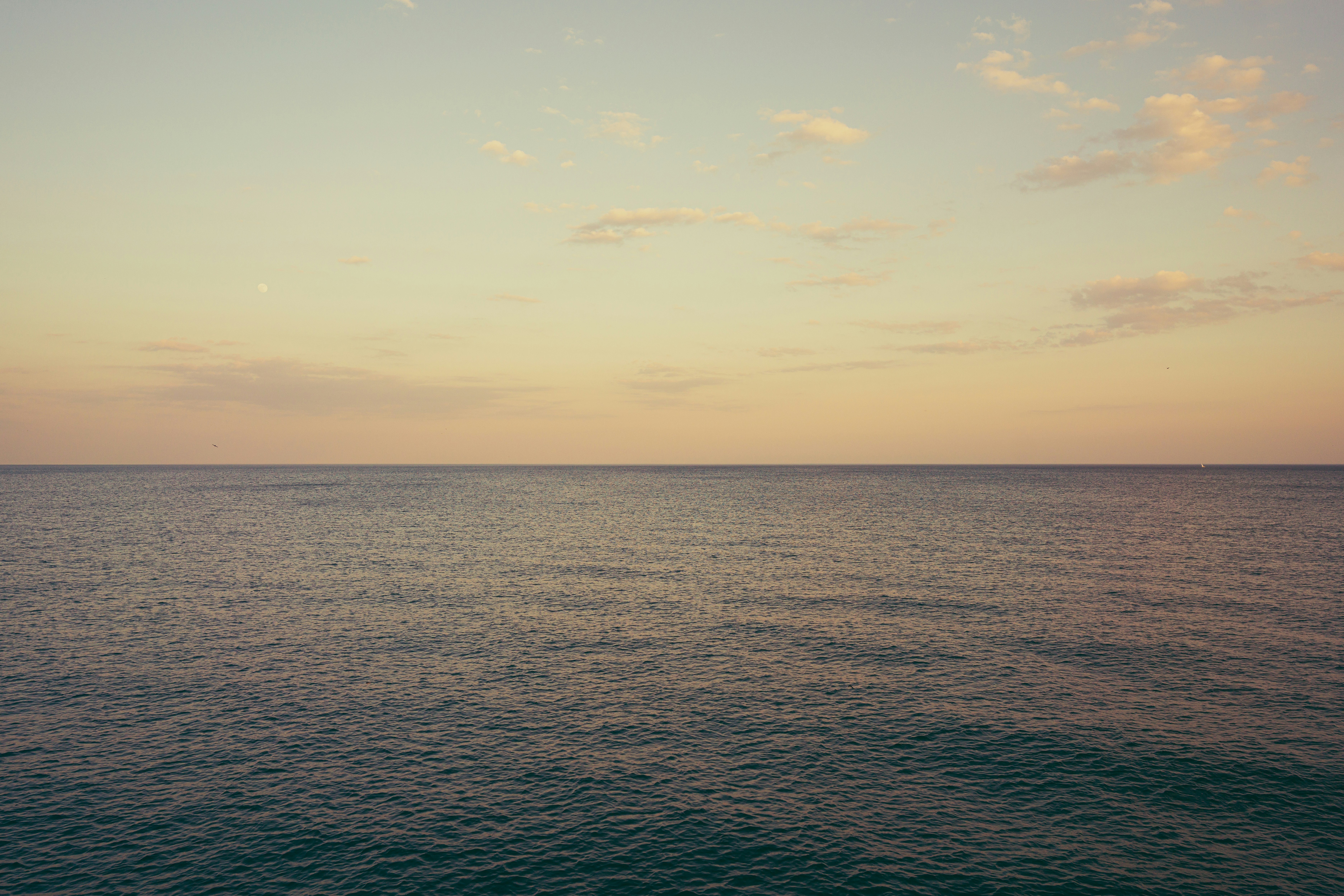 Photo by shubhamsharan