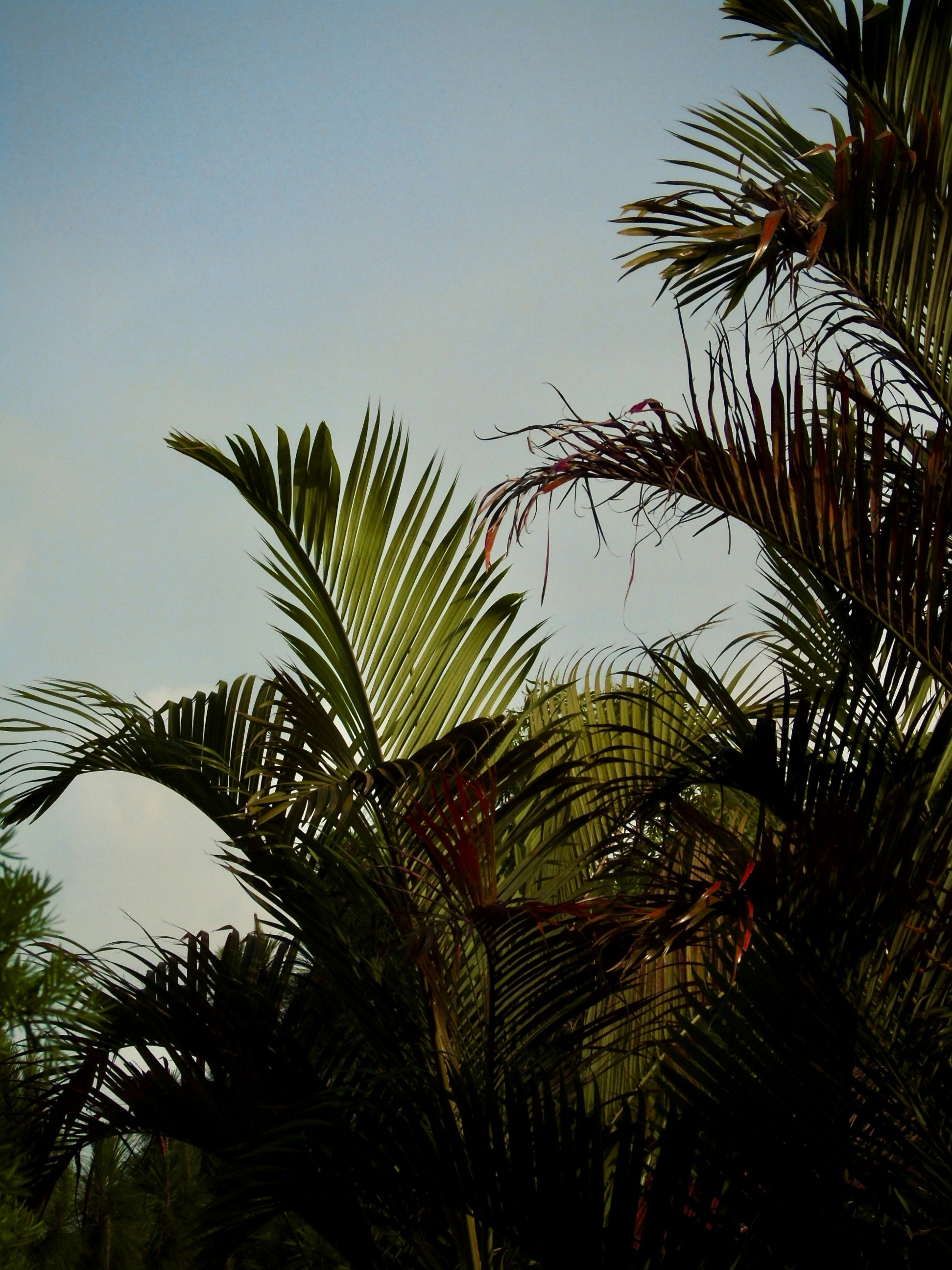 Photo by melaniegiordano