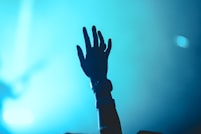 Costumes premium collection SAPE