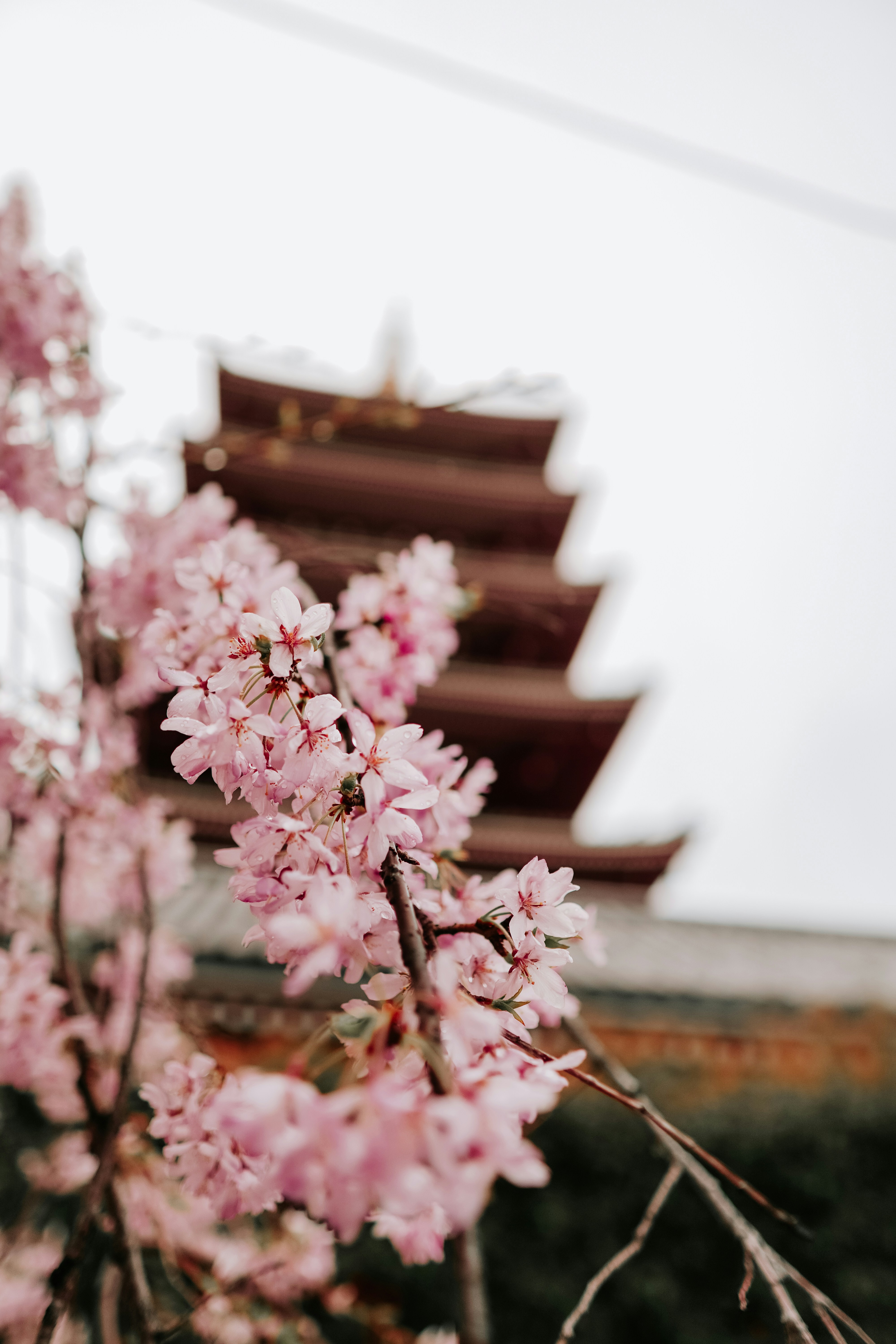 Photo by ramonbucard