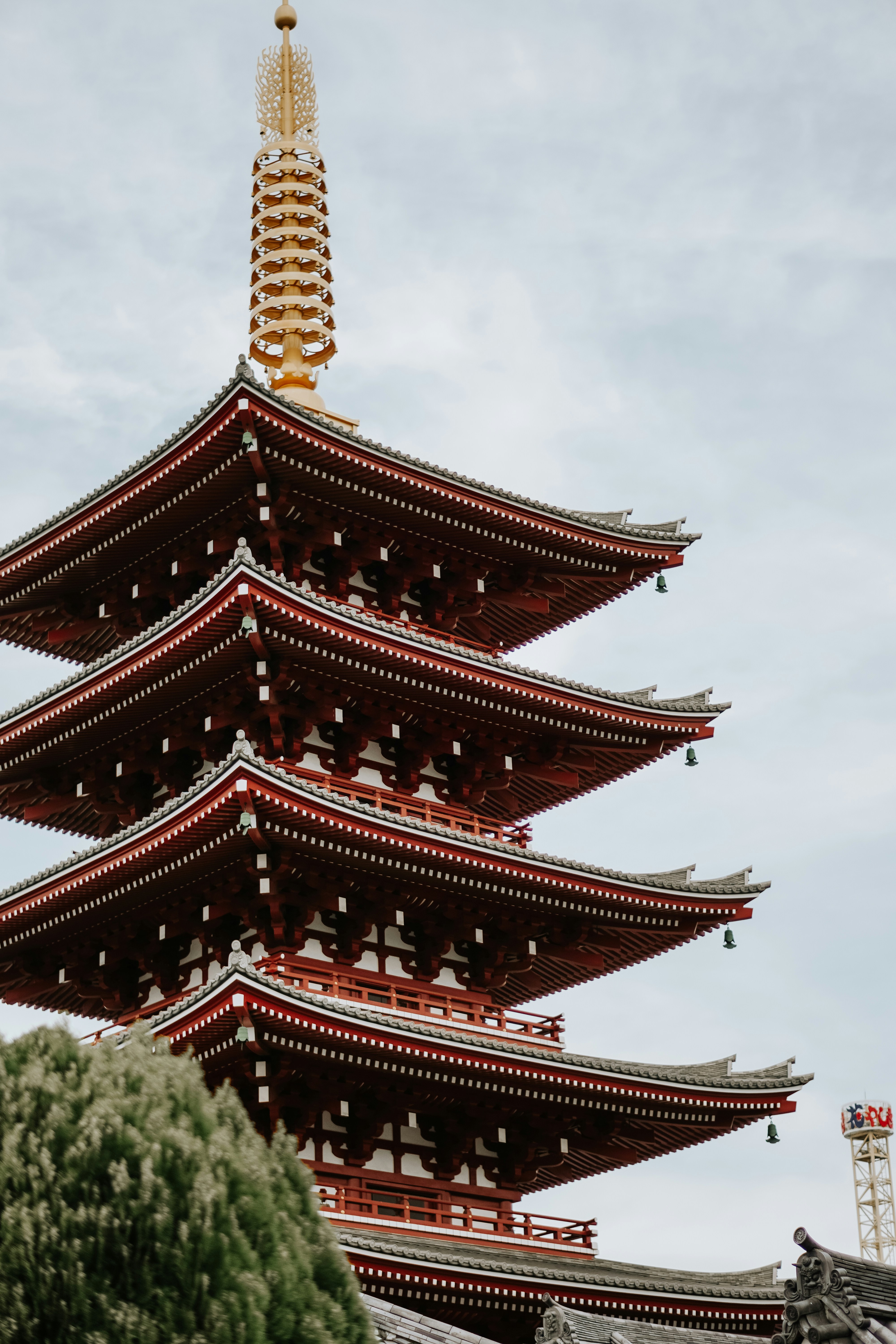 Photo by ramonbucard