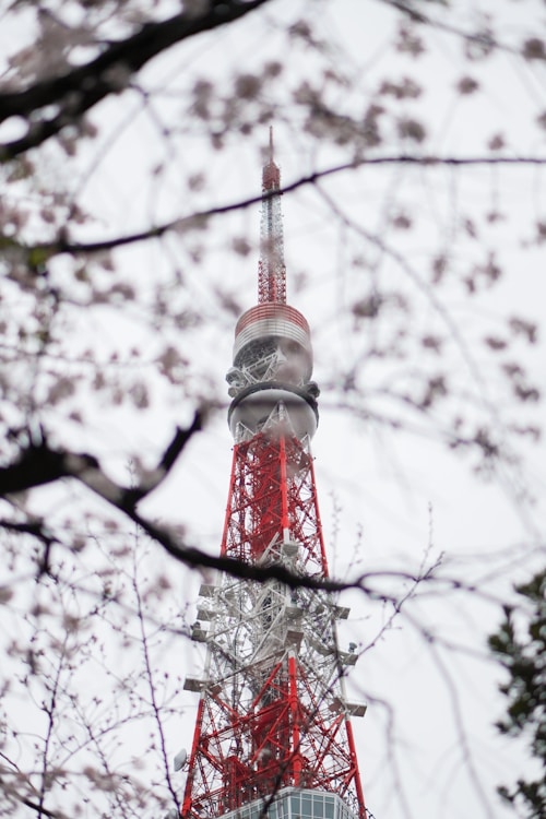 Tokyo