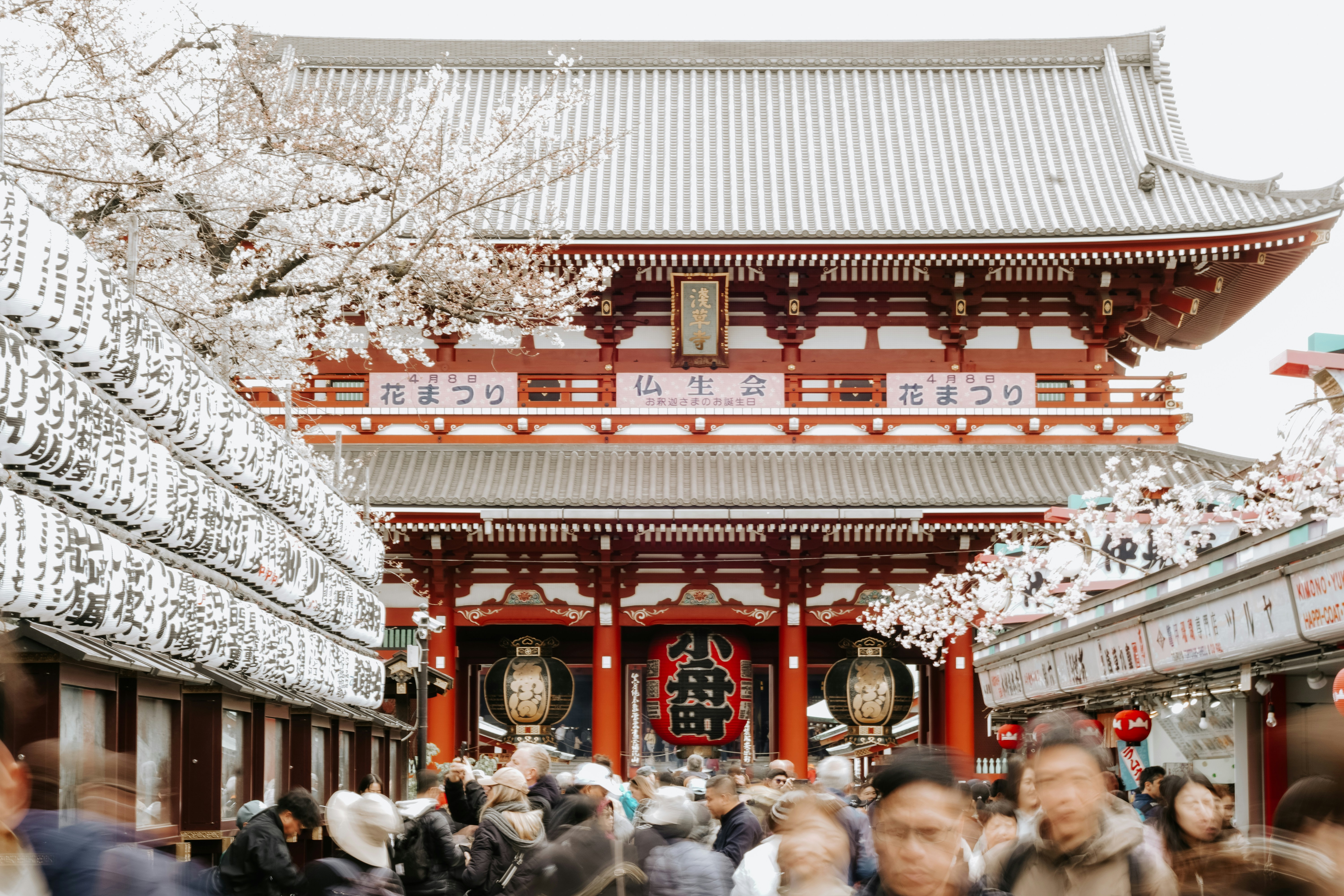 Large crowd of people queuing at a Japanese shrine during Hatsumode, torii gate in background, winter coats
