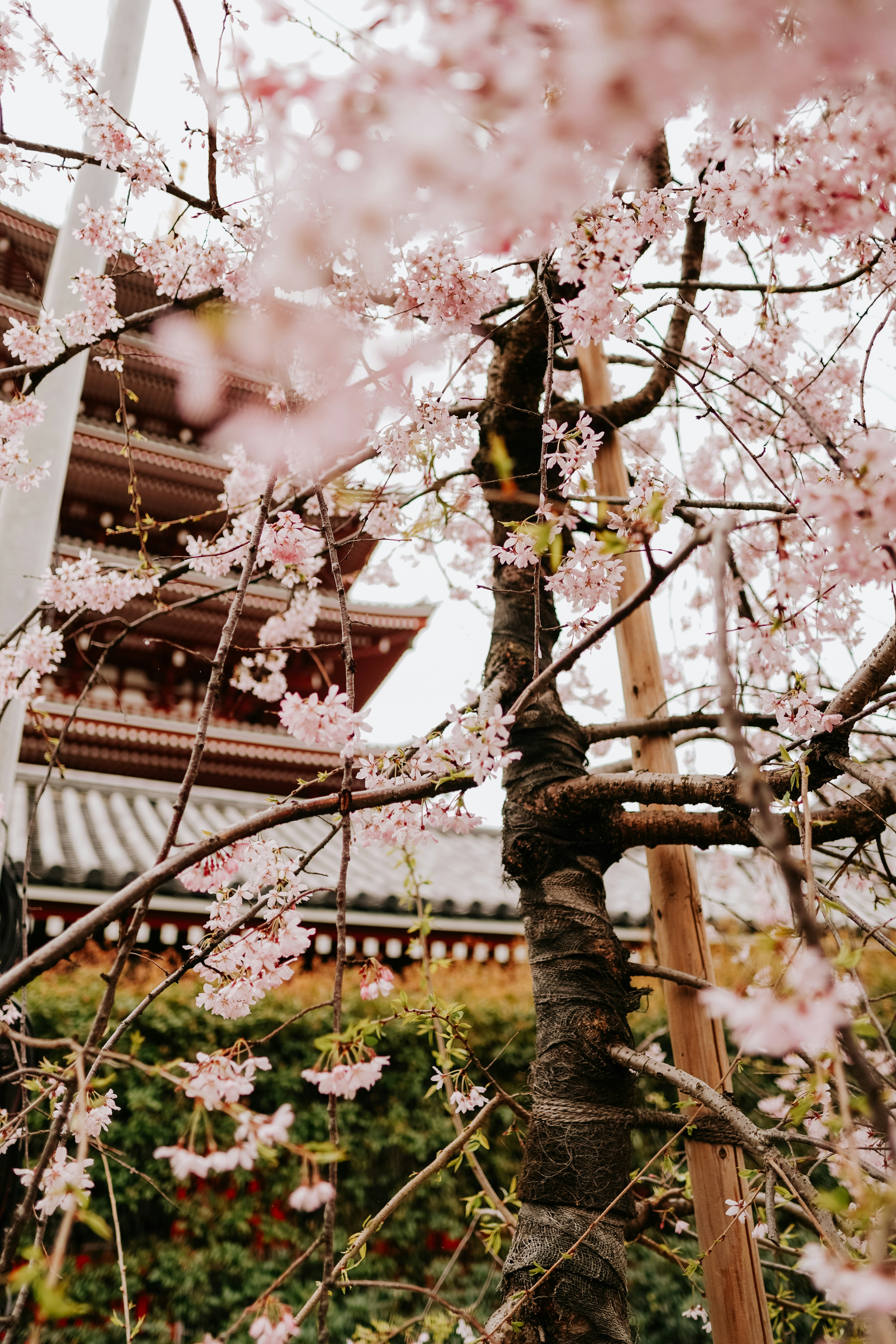 Photo by ramonbucard